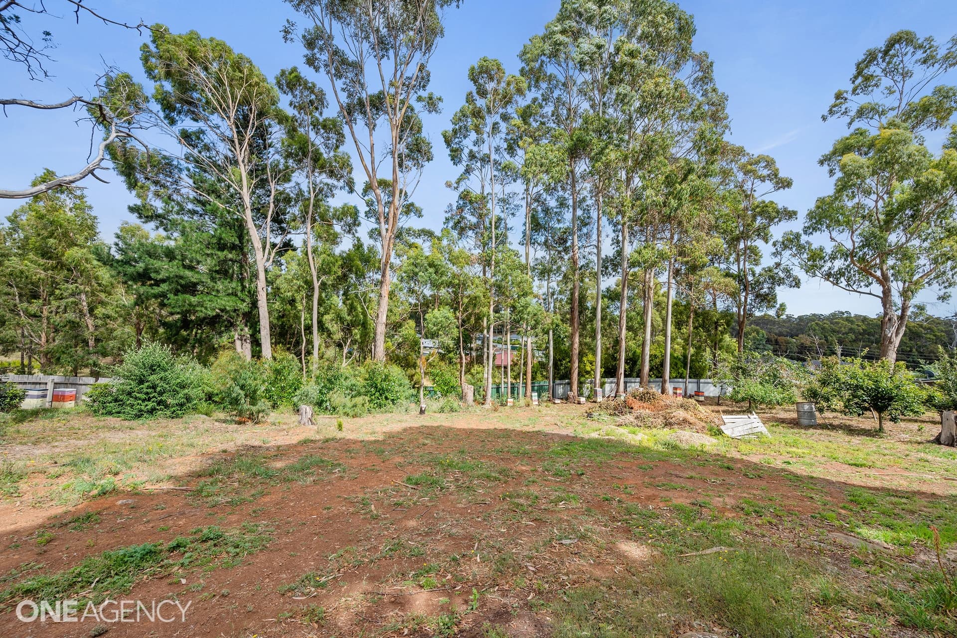 76A Hillcrest Road, Devonport, Devonport - Thumbnail 6