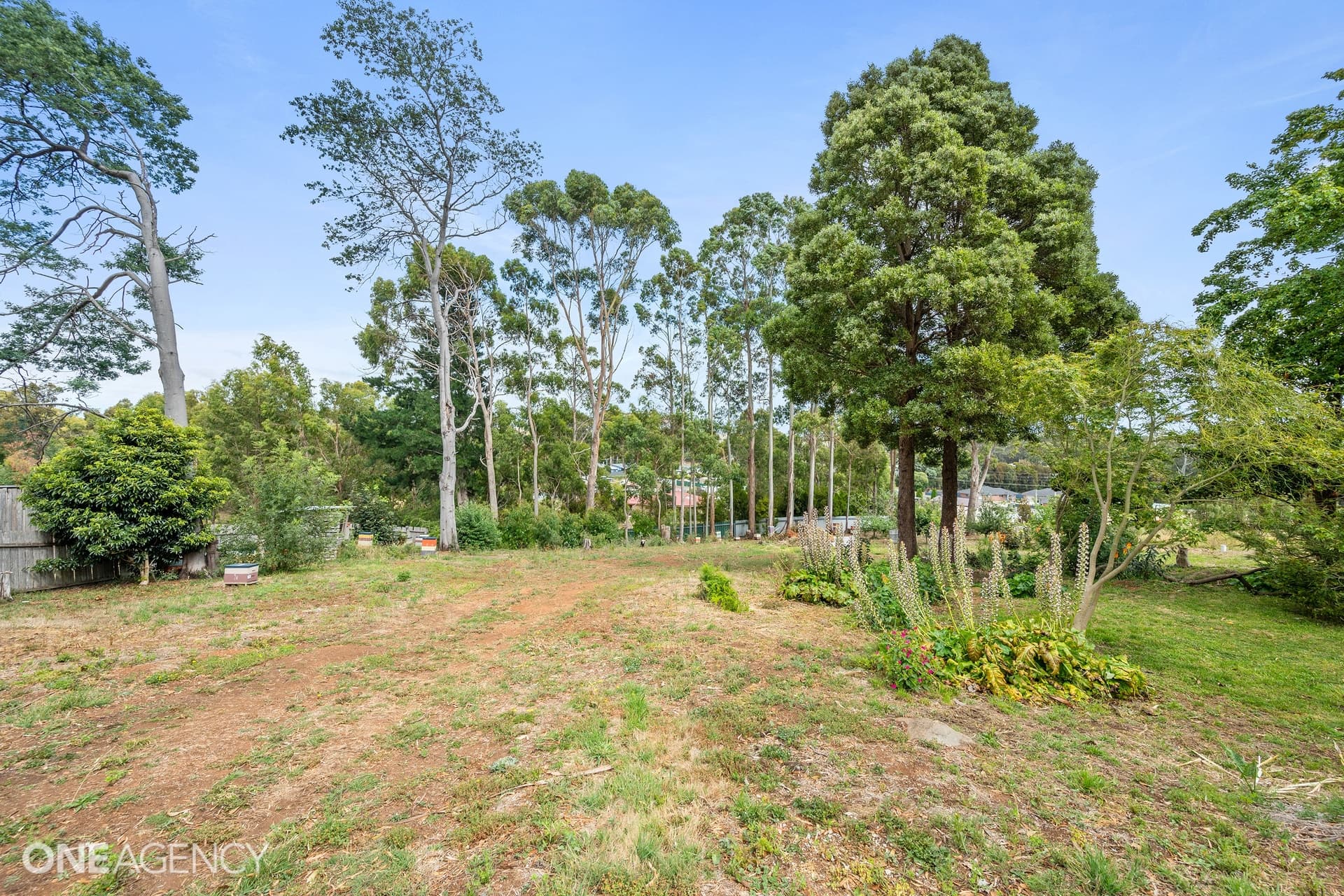 76A Hillcrest Road, Devonport, Devonport - Thumbnail 7