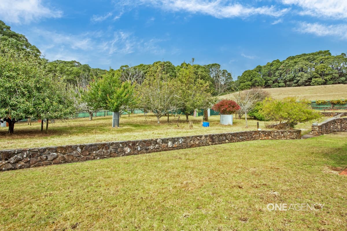 297 Youngs Road, Irishtown, Irishtown - Thumbnail 4