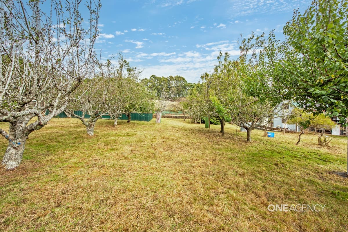 297 Youngs Road, Irishtown, Irishtown - Thumbnail 6