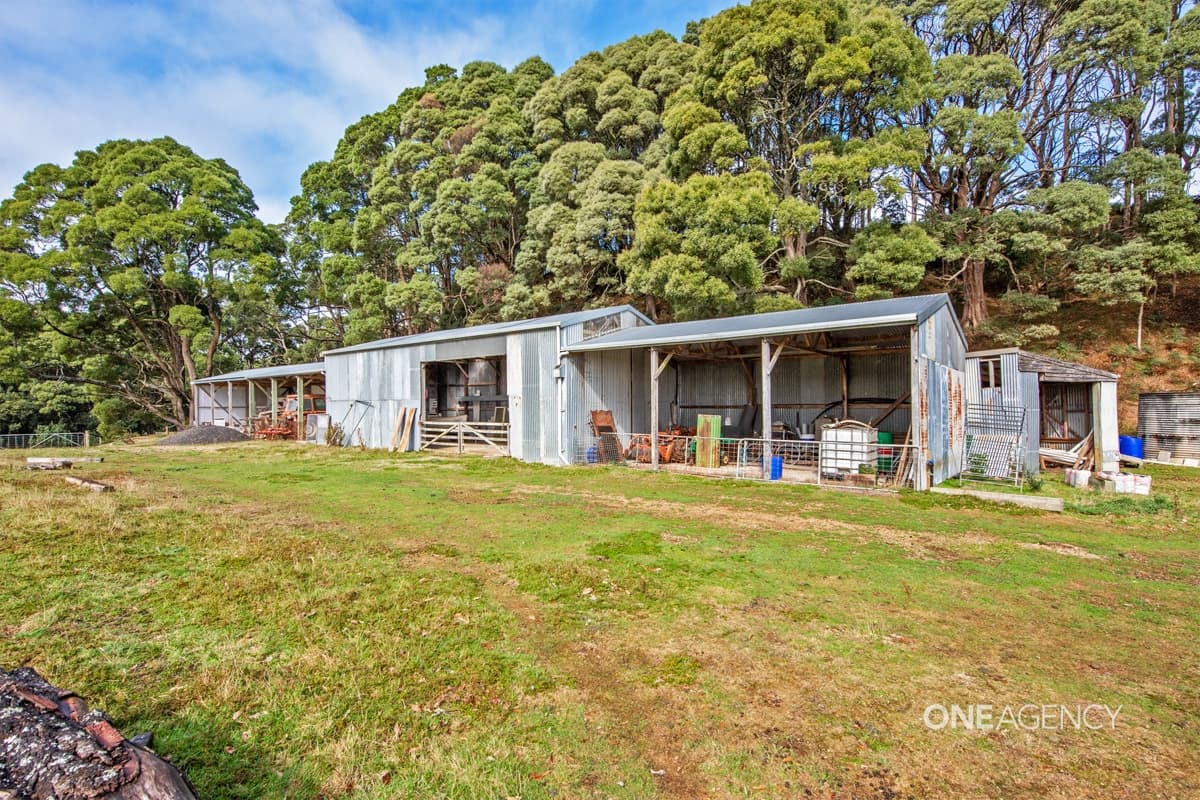 297 Youngs Road, Irishtown, Irishtown - Thumbnail 7