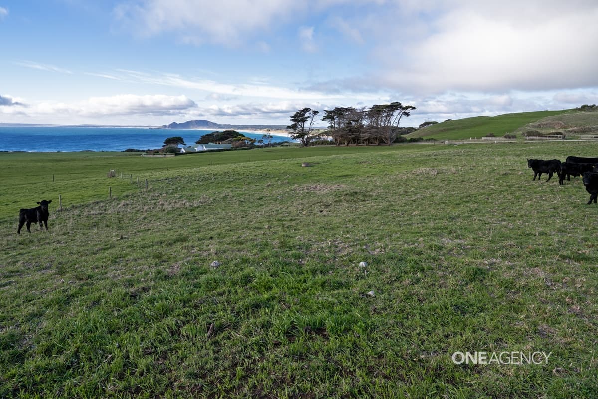 30 Hansons Road, Marrawah, Marrawah - Thumbnail 4