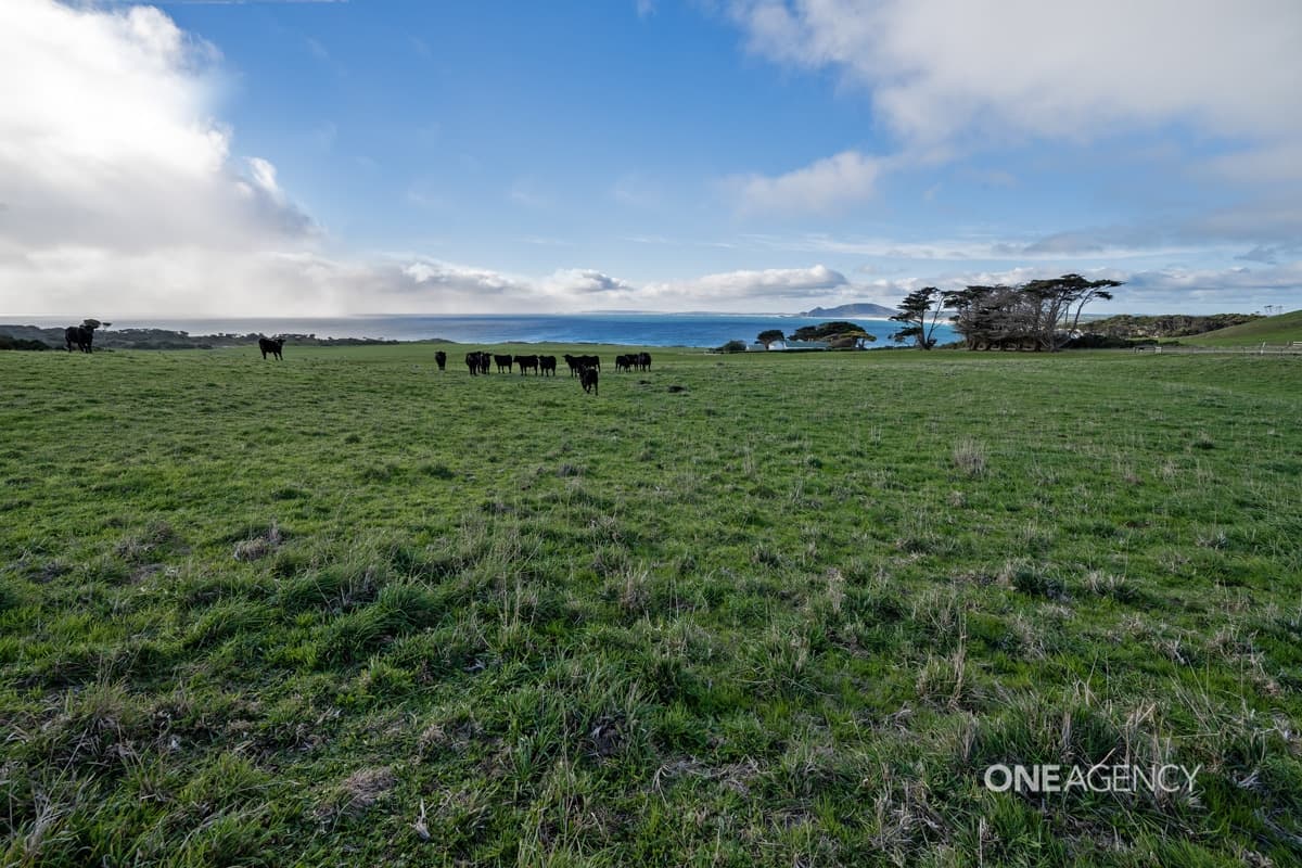 30 Hansons Road, Marrawah, Marrawah - Thumbnail 5