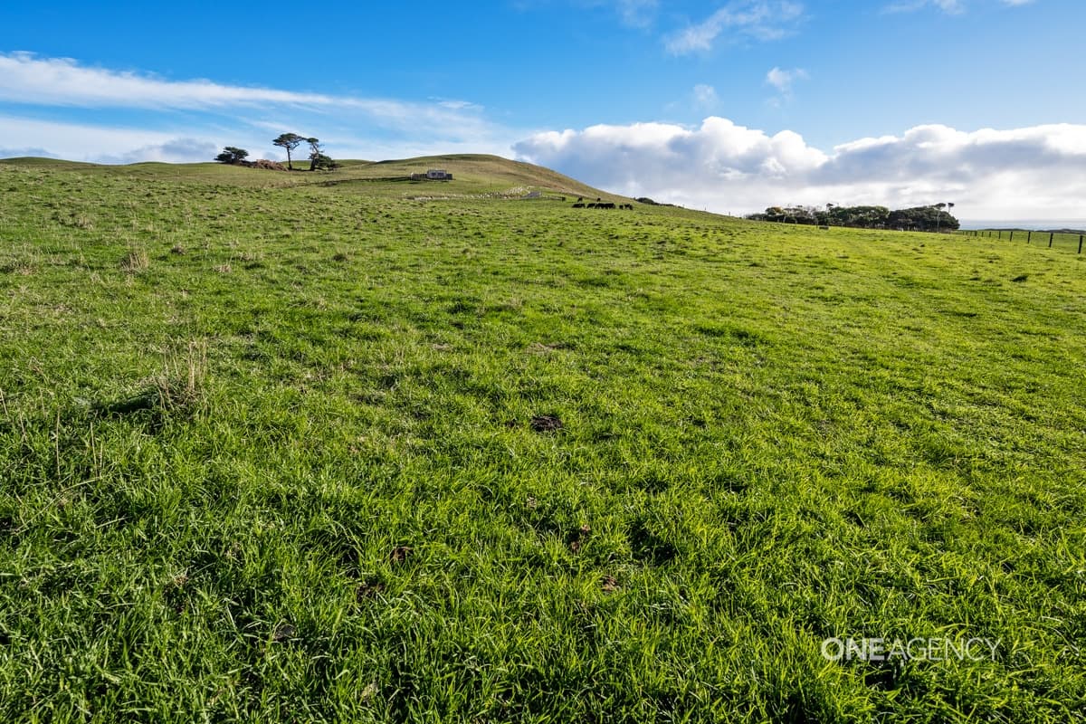 30 Hansons Road, Marrawah, Marrawah - Thumbnail 6
