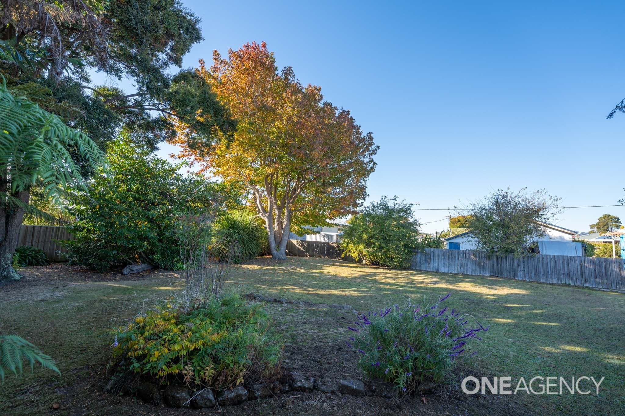 15 Jackson Street, Wynyard, Wynyard - Thumbnail 8