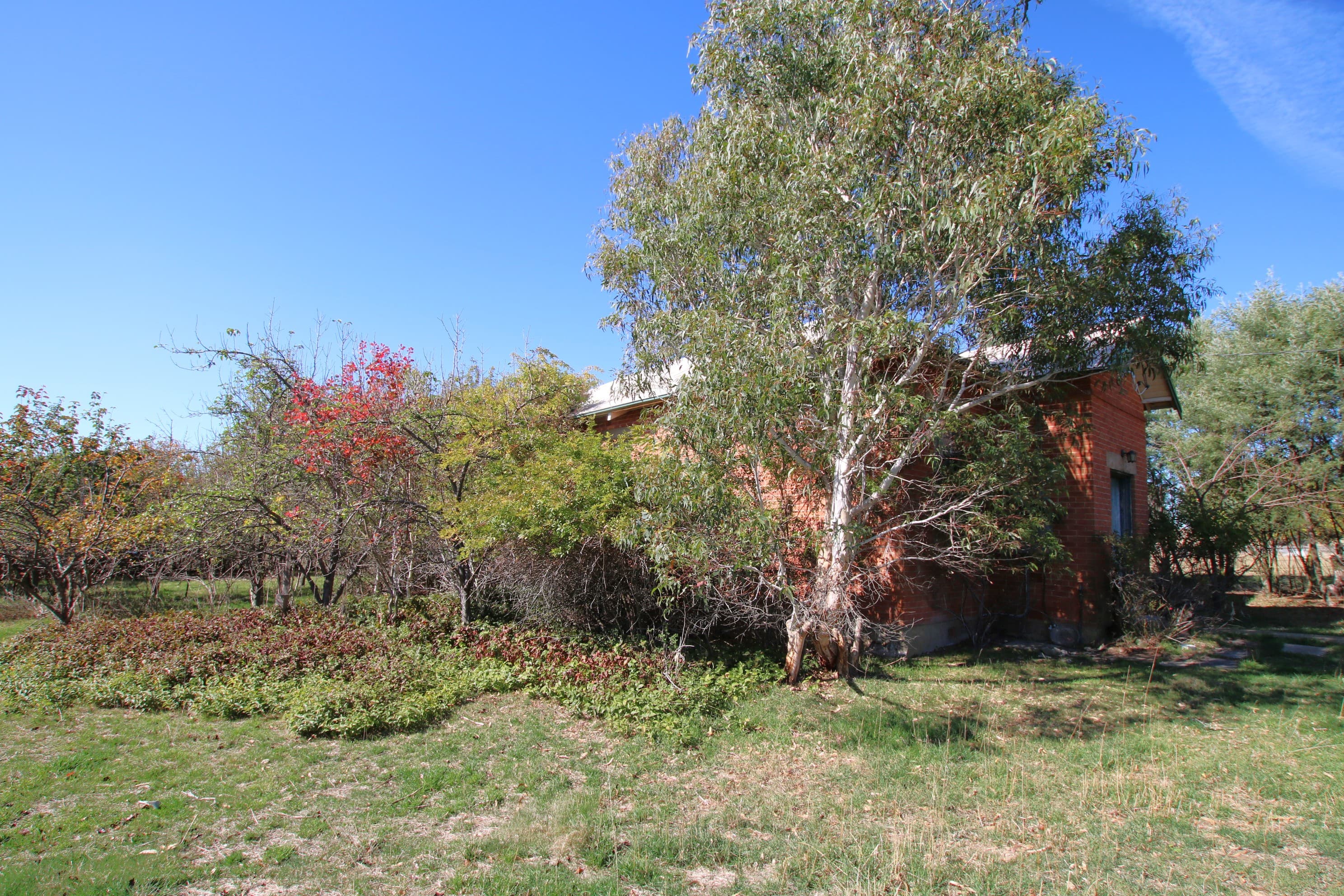 17 Craigie Street, Delegate, Delegate - Thumbnail 3