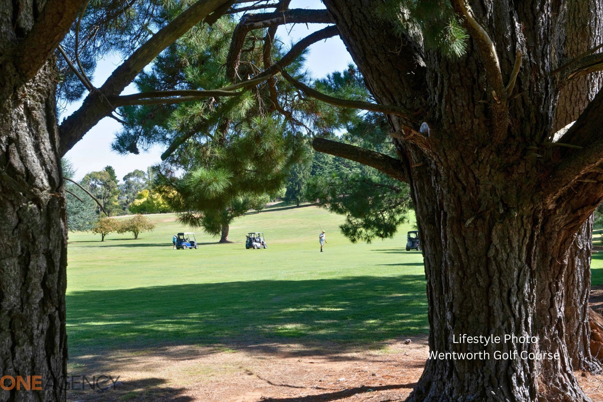 25 Melaleuca Way, Orange, Orange - Thumbnail 6