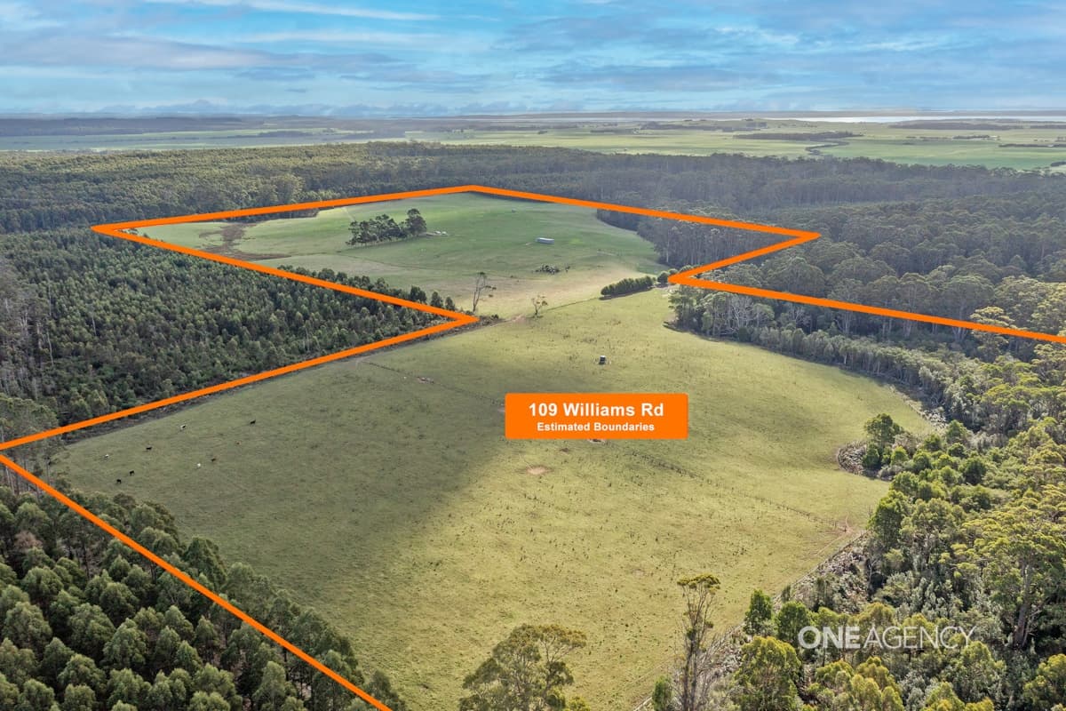 109 Williams Road, Scopus, Scopus - Thumbnail 2