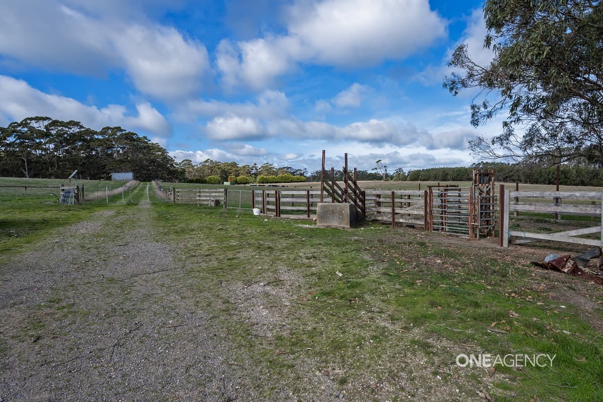 109 Williams Road, Scopus, Scopus - Thumbnail 3