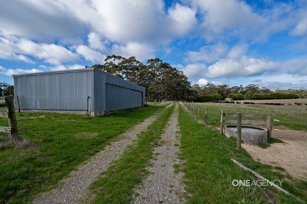 109 Williams Road, Scopus, Scopus - Thumbnail 4