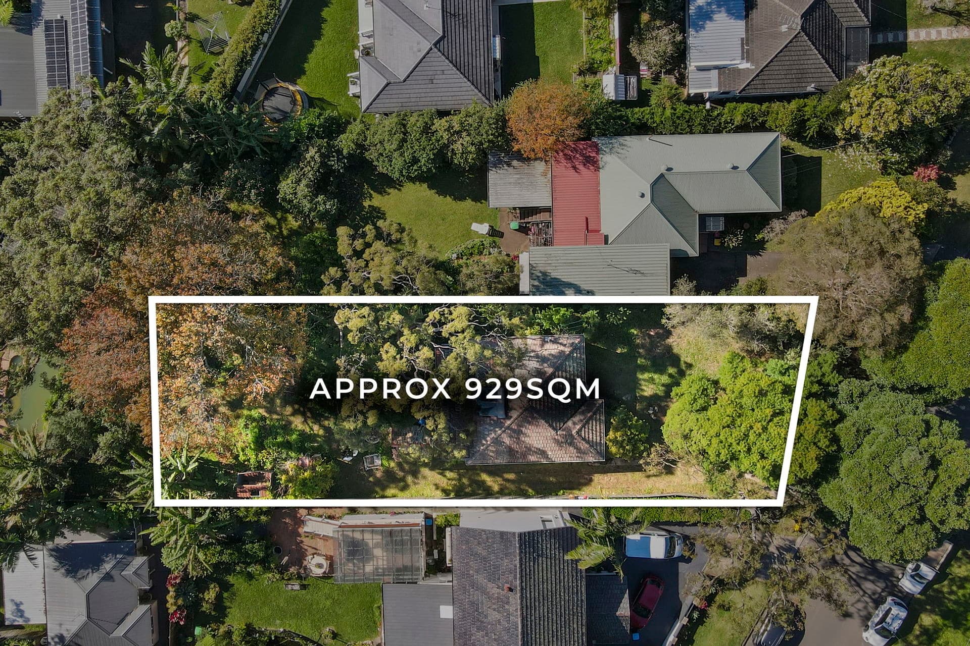 18 Oxford Falls Road, Beacon Hill, Beacon Hill - Thumbnail 7