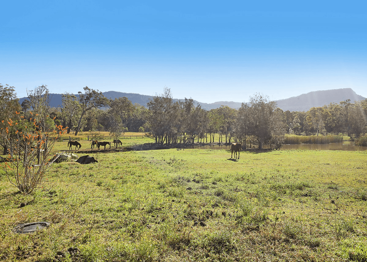 290 - 296 West Dapto Road, Stream Hill, Stream Hill - Thumbnail 6