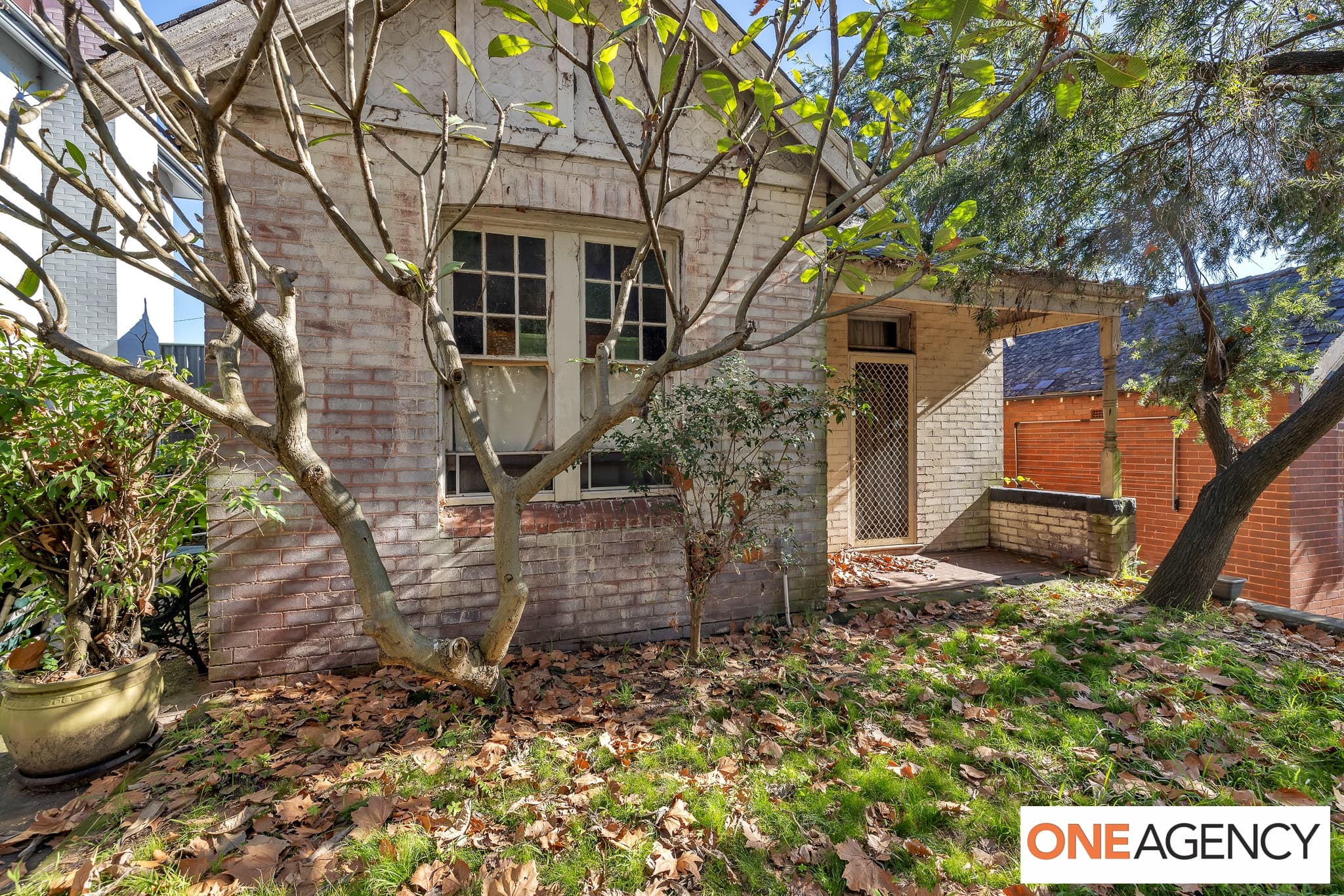 526 Miller Street, Cammeray, Cammeray - Thumbnail 5