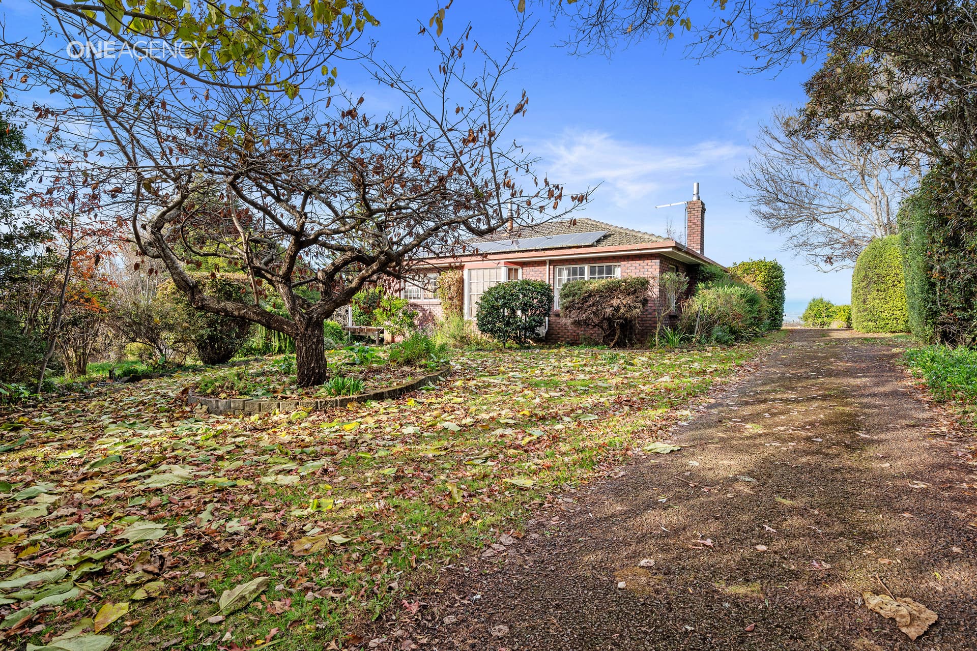71 Chadwicks Road, Sassafras, Sassafras - Thumbnail 2