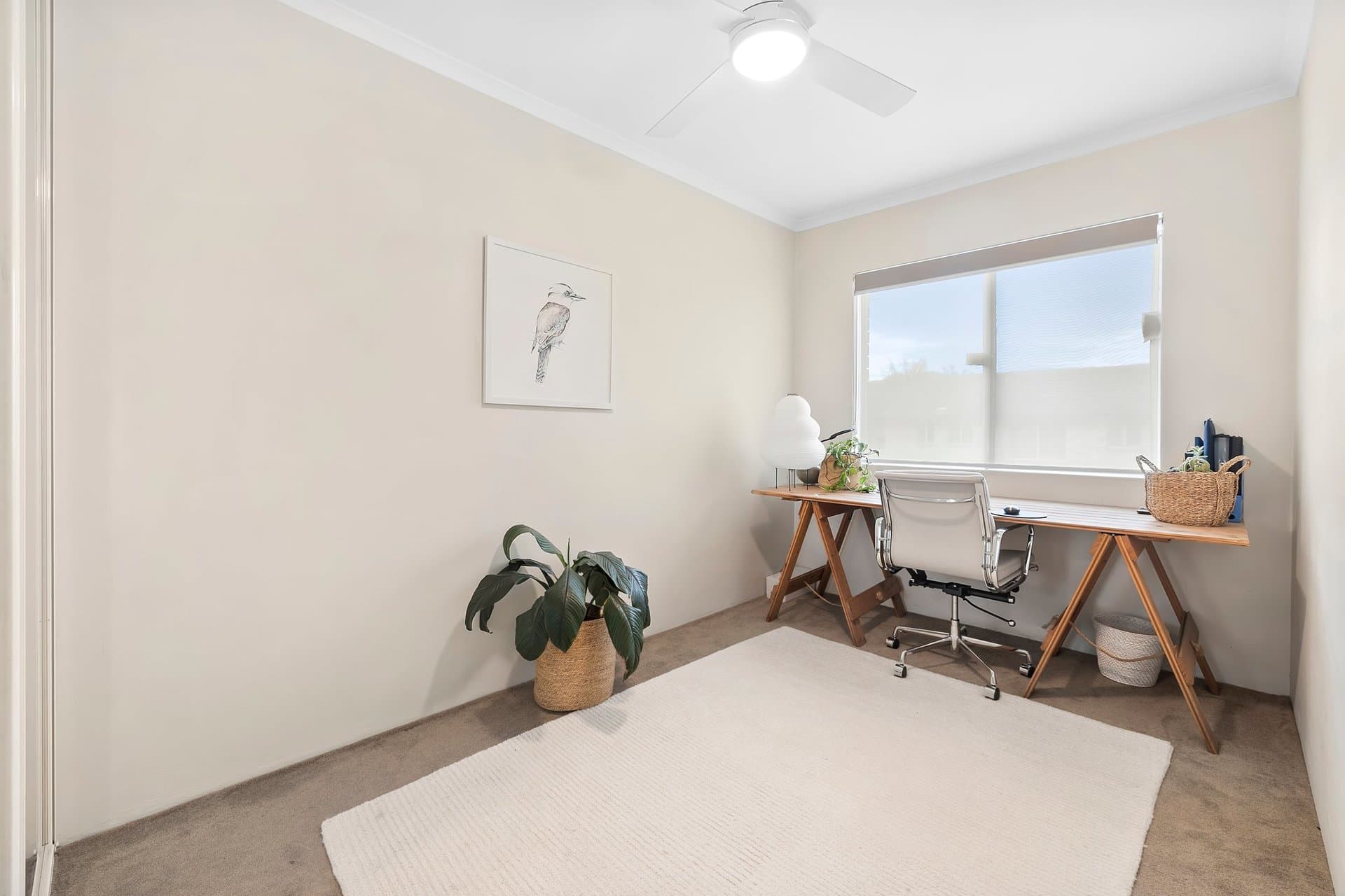 11/70 Oaks Avenue, Dee Why, Dee Why - Thumbnail 2