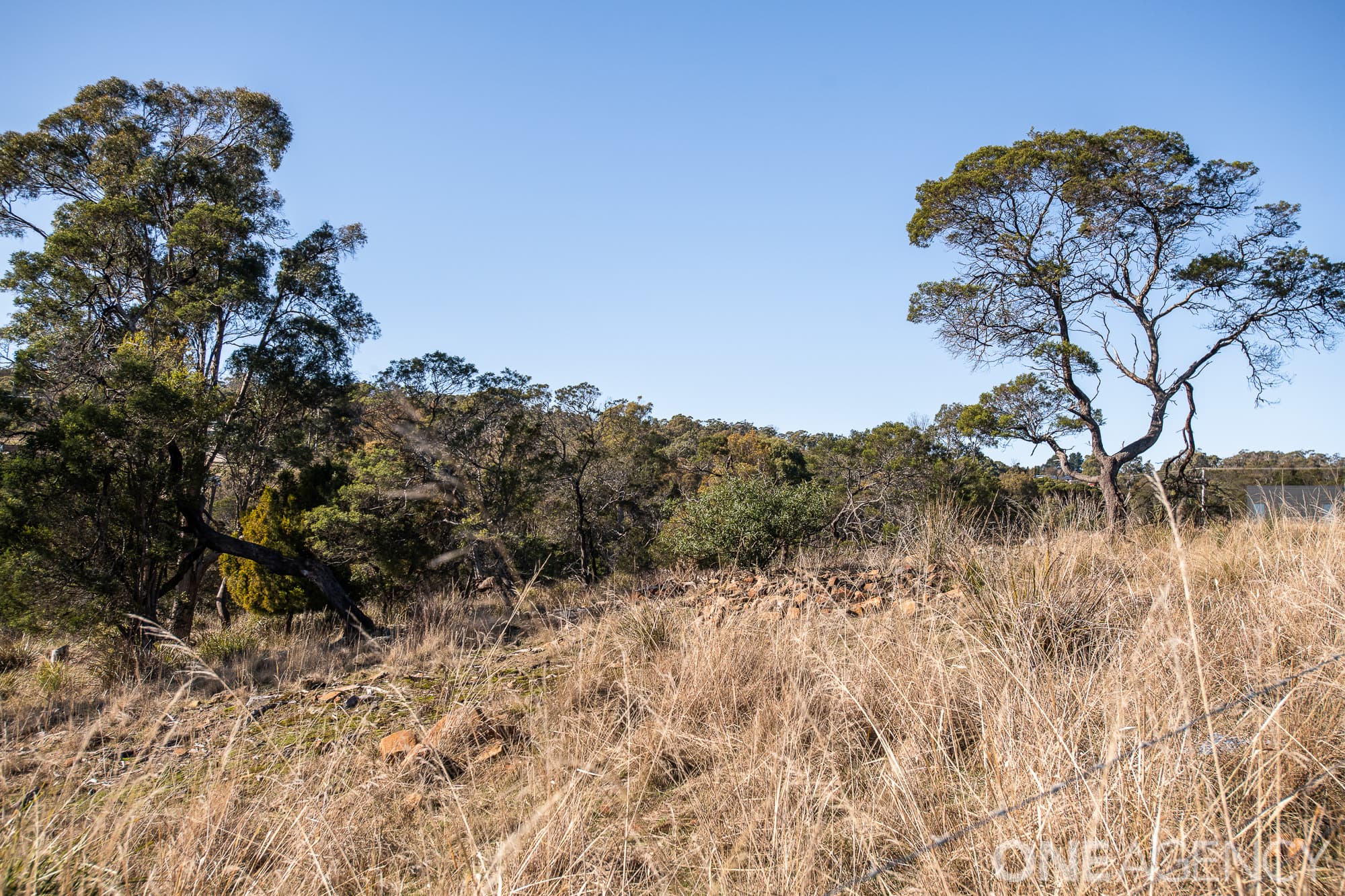 8 Aquila Place, Swan Bay, Swan Bay - Thumbnail 6