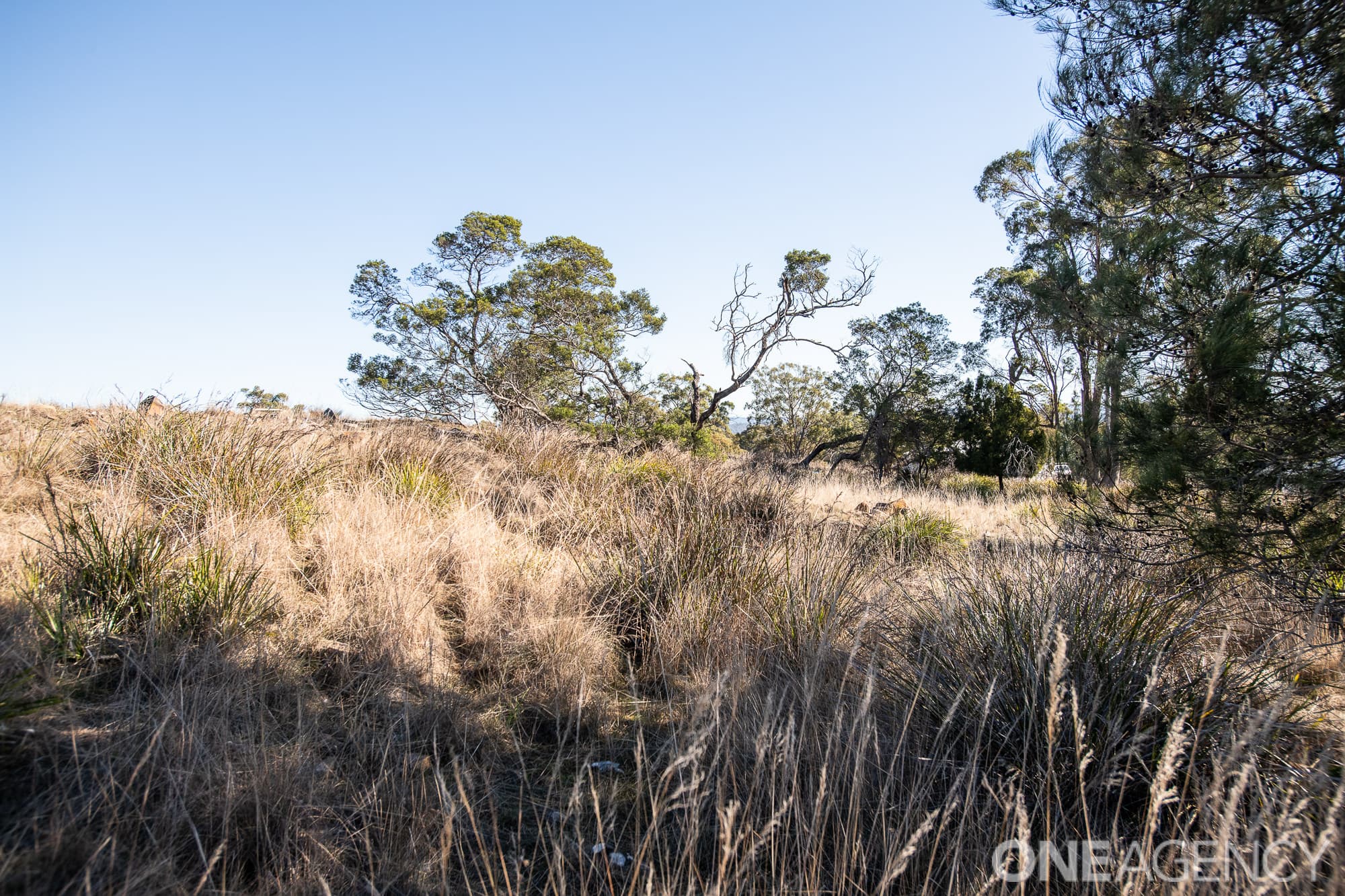 8 Aquila Place, Swan Bay, Swan Bay - Thumbnail 5