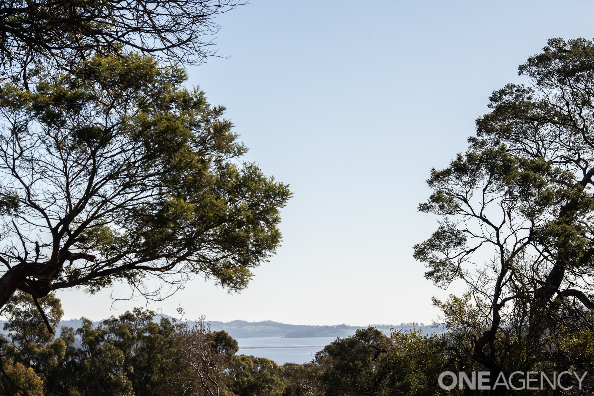 8 Aquila Place, Swan Bay, Swan Bay - Thumbnail 4