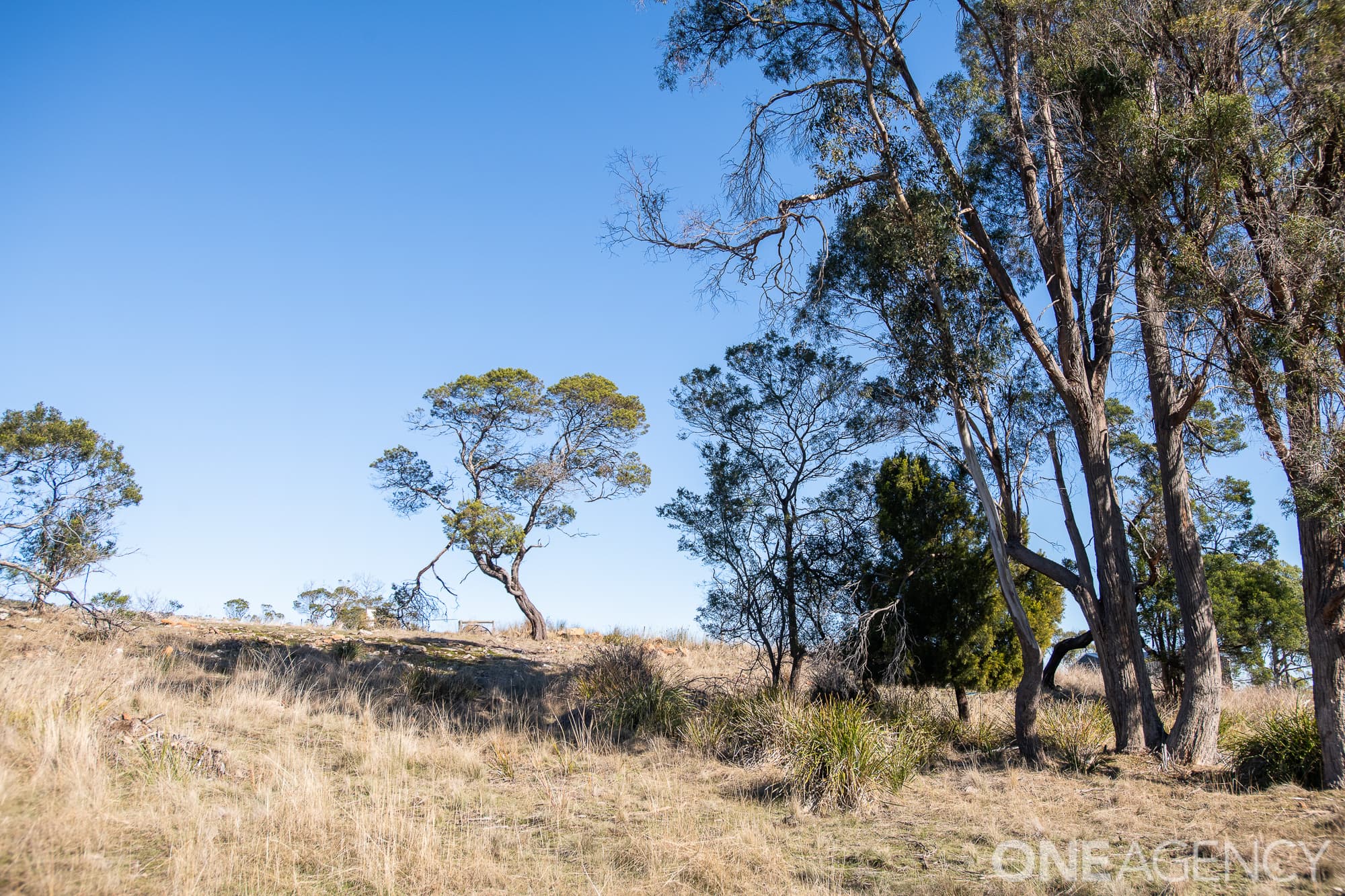 8 Aquila Place, Swan Bay, Swan Bay - Thumbnail 7
