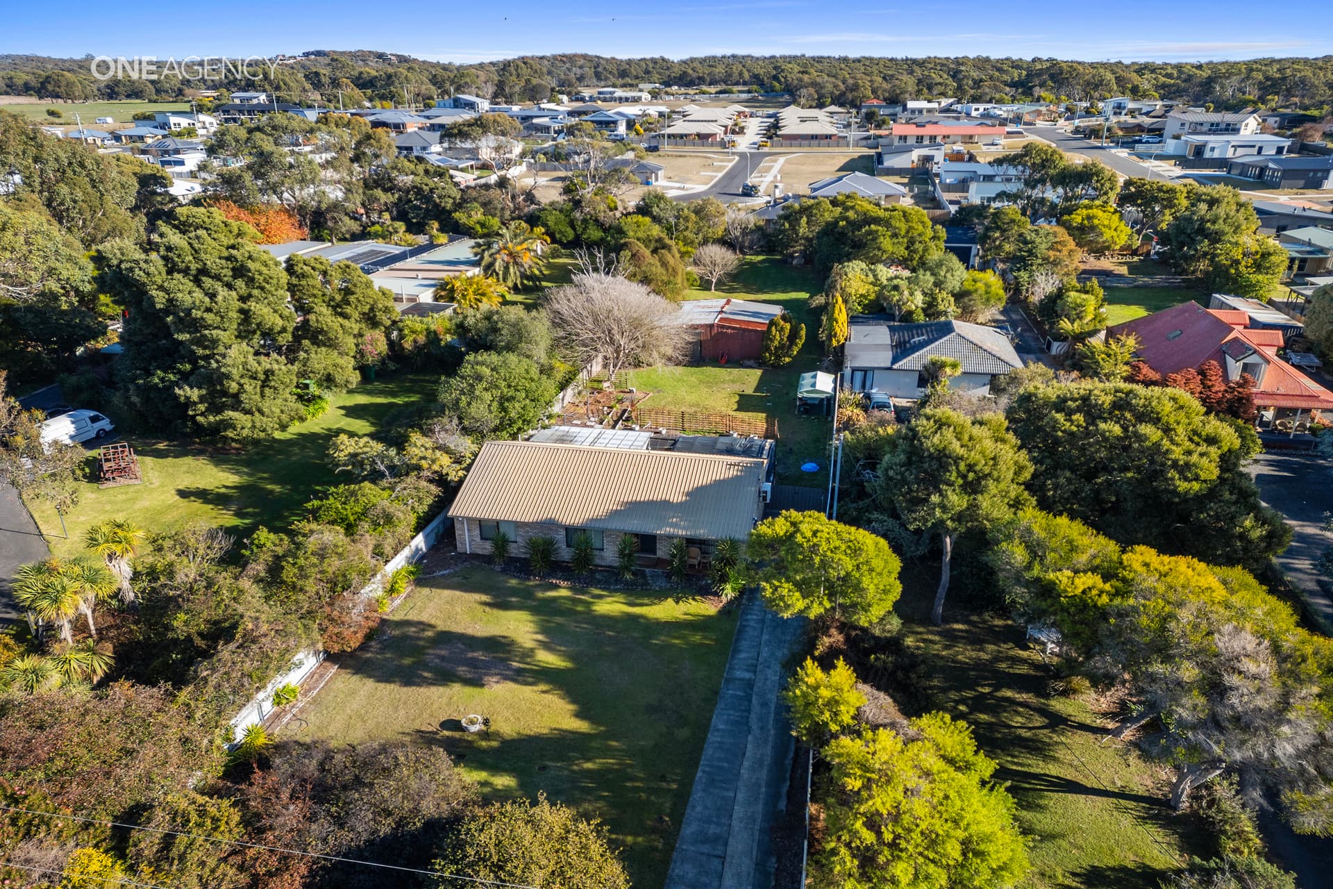 16 Alexander Street, Shearwater, Shearwater - Thumbnail 5