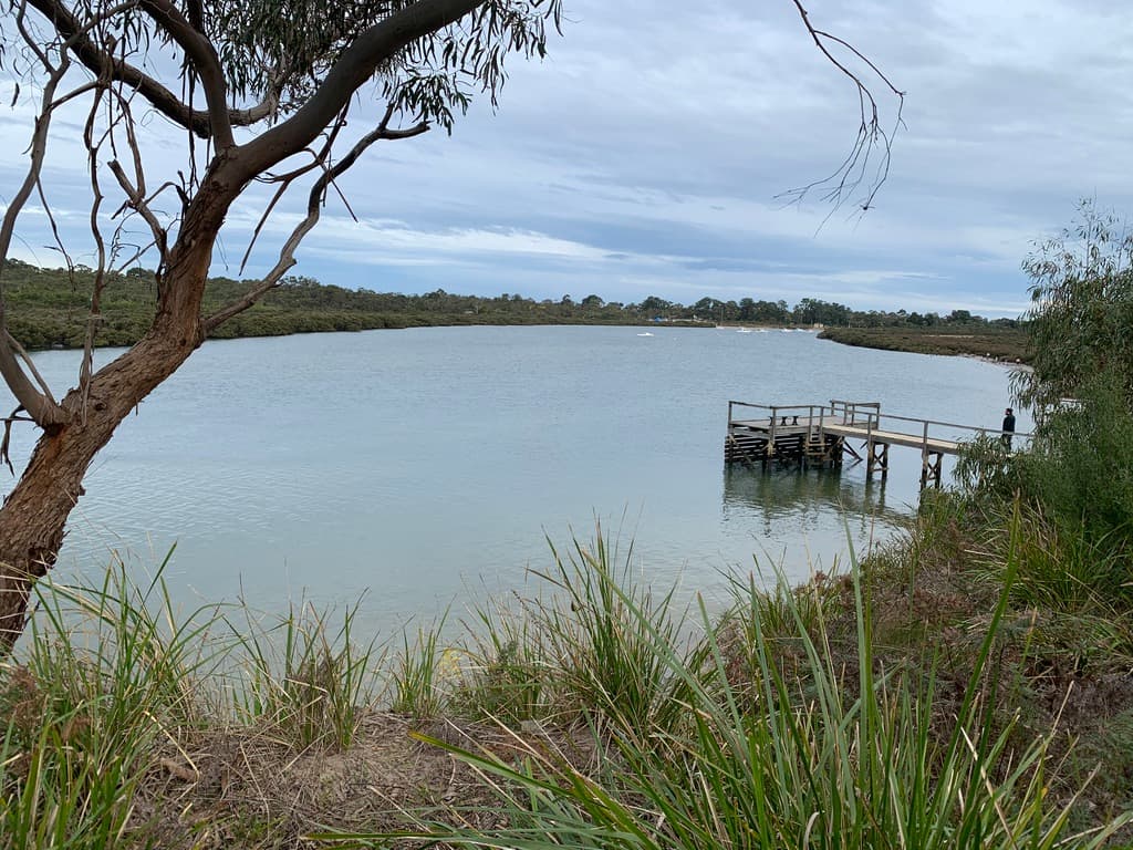 51 Hardy Avenue, Cannons Creek, Cannons Creek - Thumbnail 6
