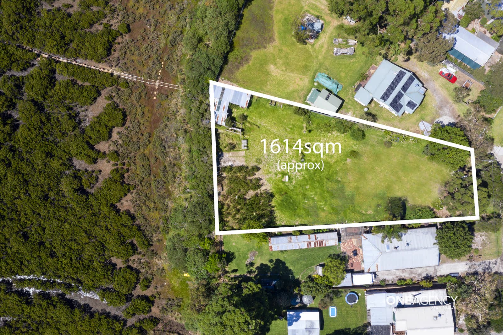 51 Hardy Avenue, Cannons Creek, Cannons Creek - Thumbnail 4