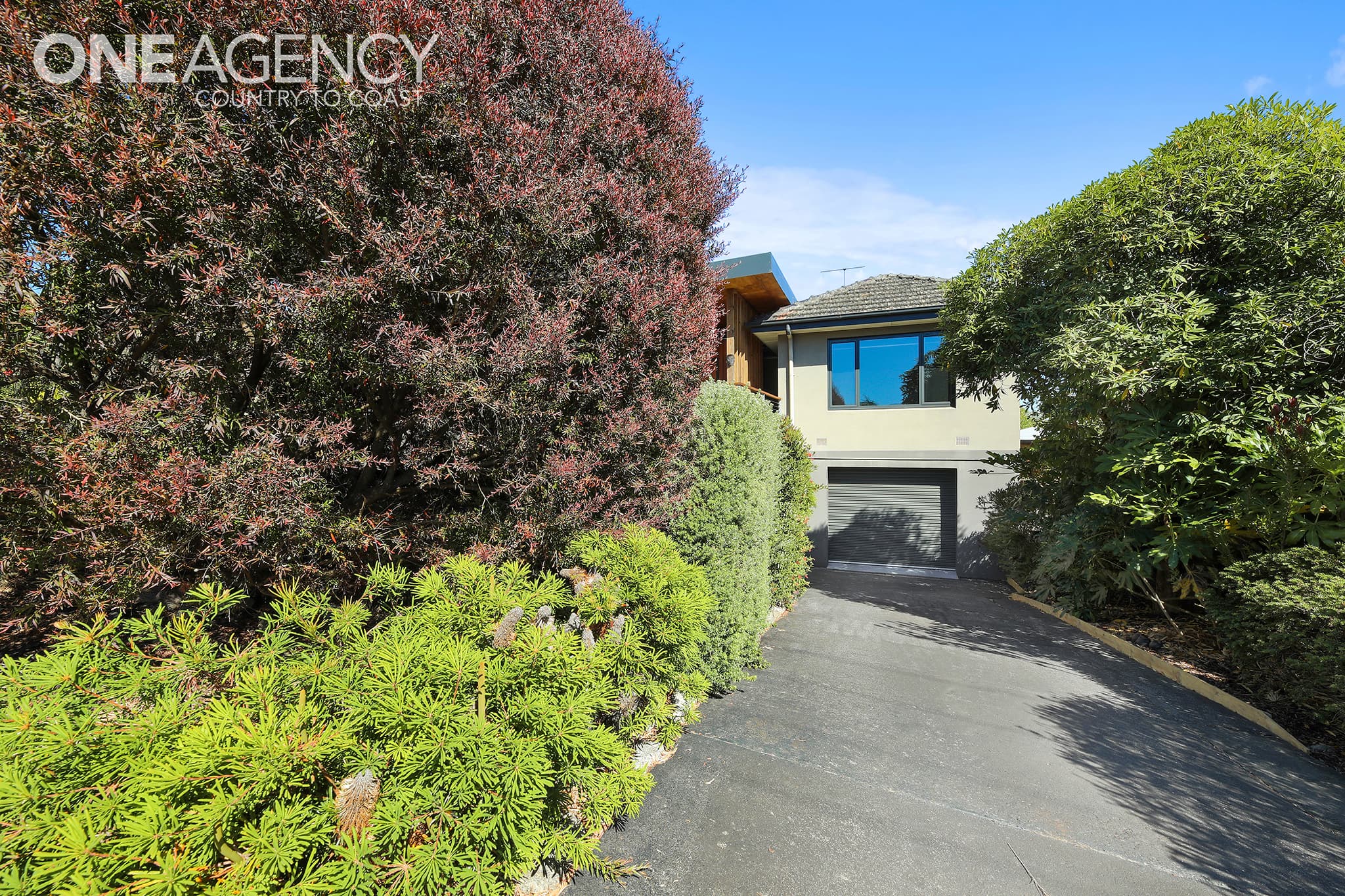 8 Hope Street, Warragul, Warragul - Thumbnail 6