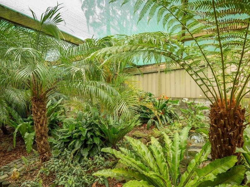 35 Timberi Avenue, Dapto, Dapto - Thumbnail 6