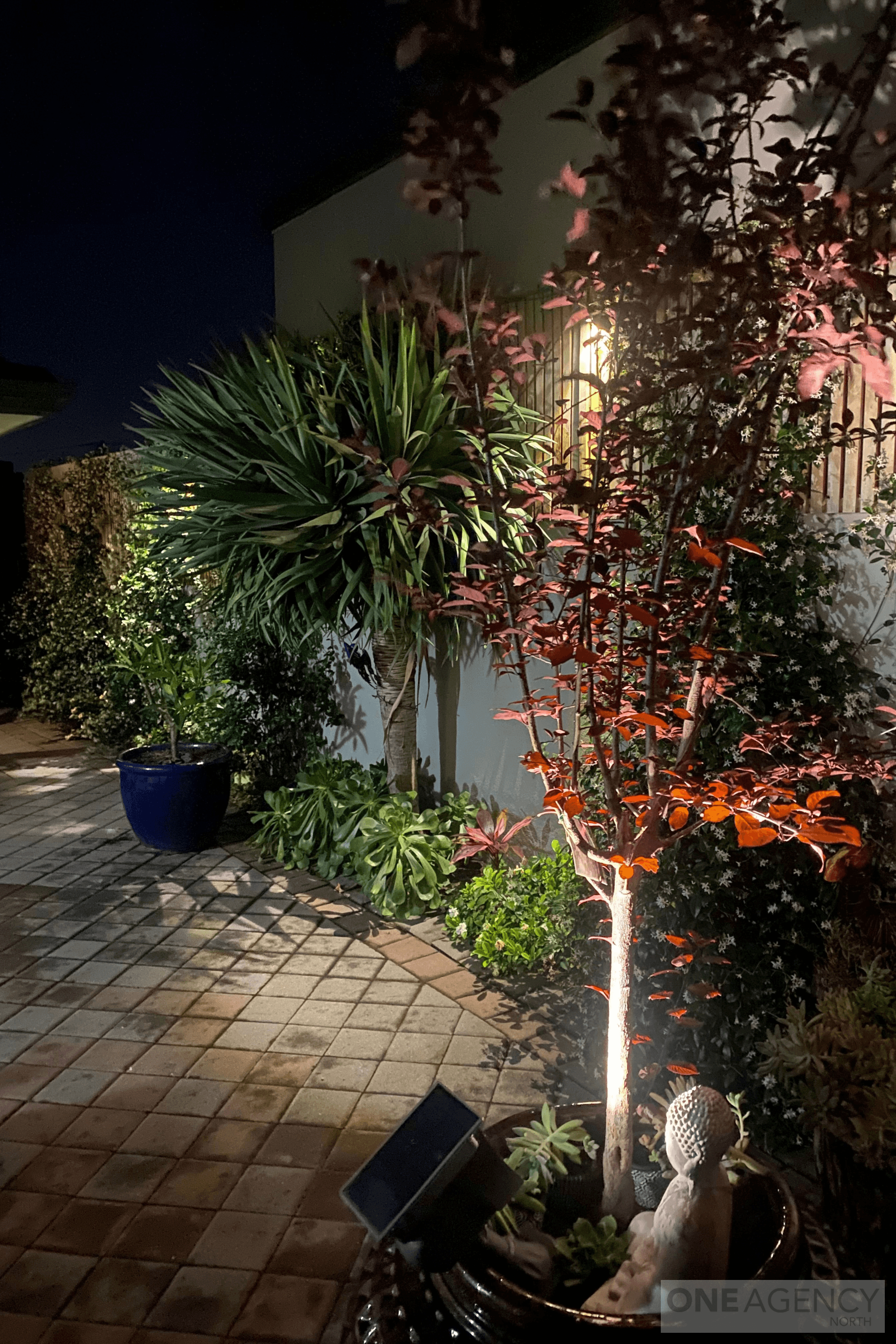 12 Wolya Place, Westminster, Westminster - Thumbnail 6
