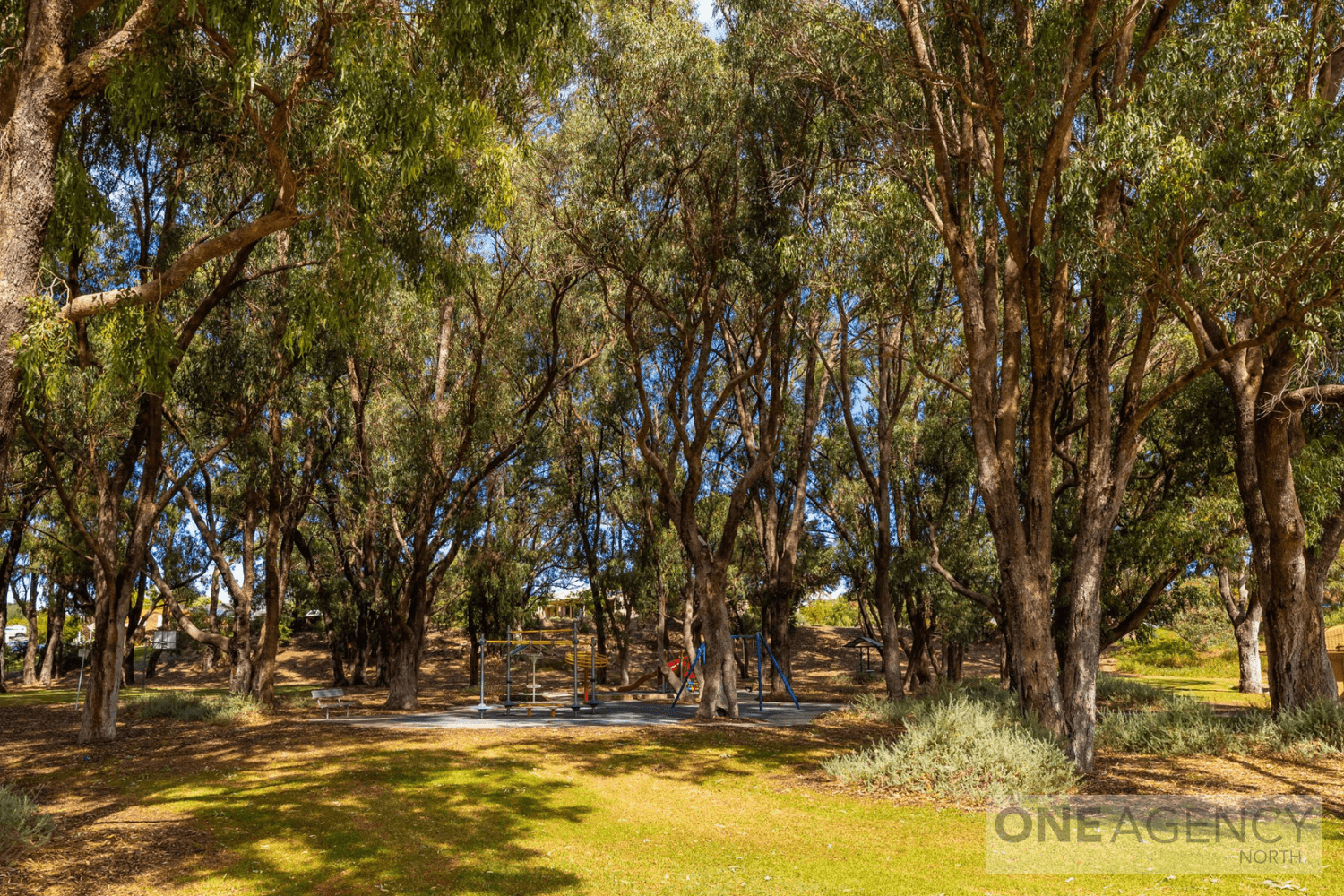 19 Wentworth Street, Yanchep, Yanchep - Thumbnail 4