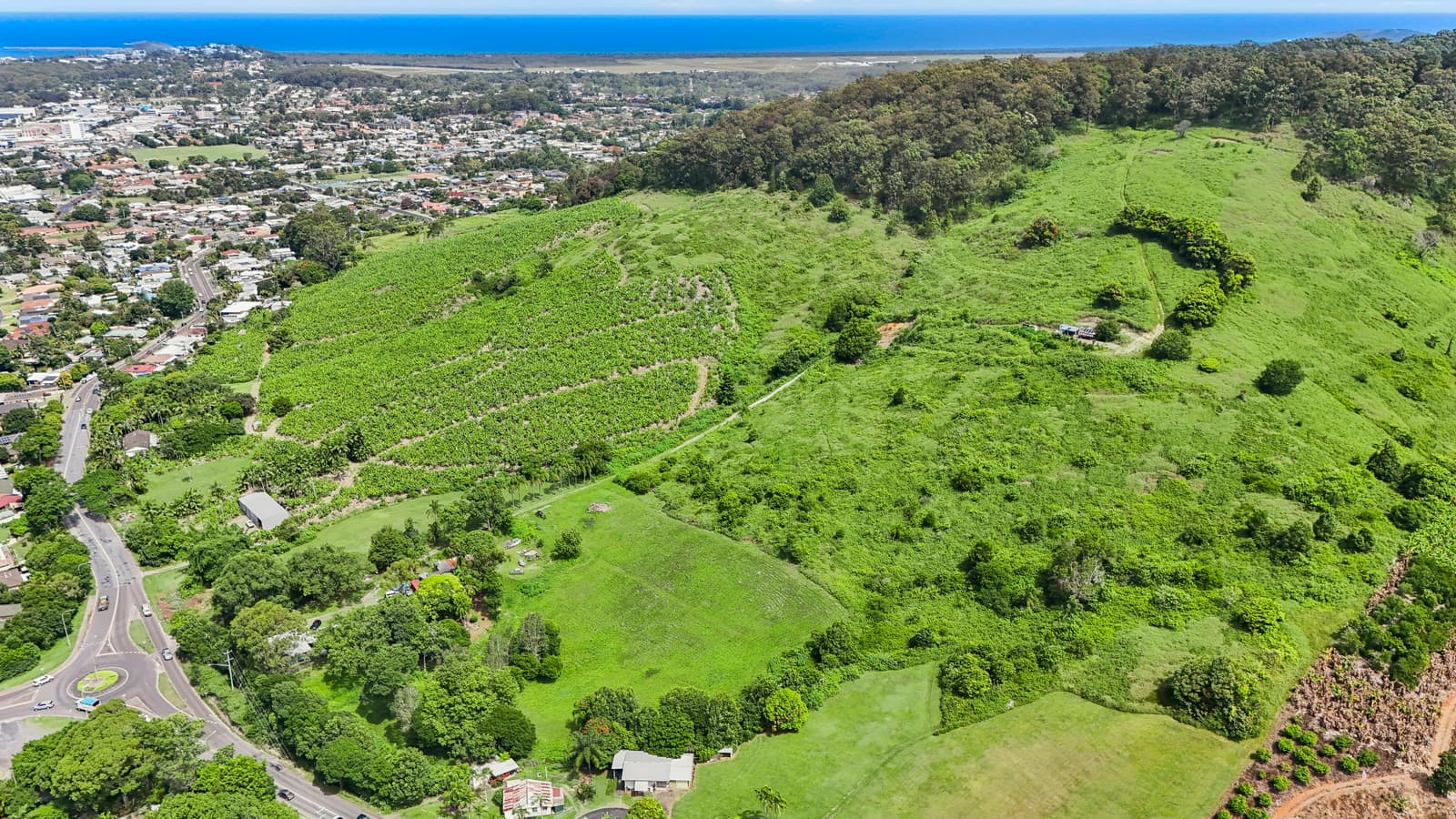 183 Coramba Road, Coffs Harbour, Coffs Harbour - Thumbnail 7