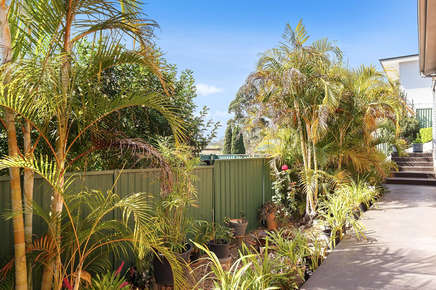 733A Warringah Road, Forestville, Forestville - Thumbnail 6