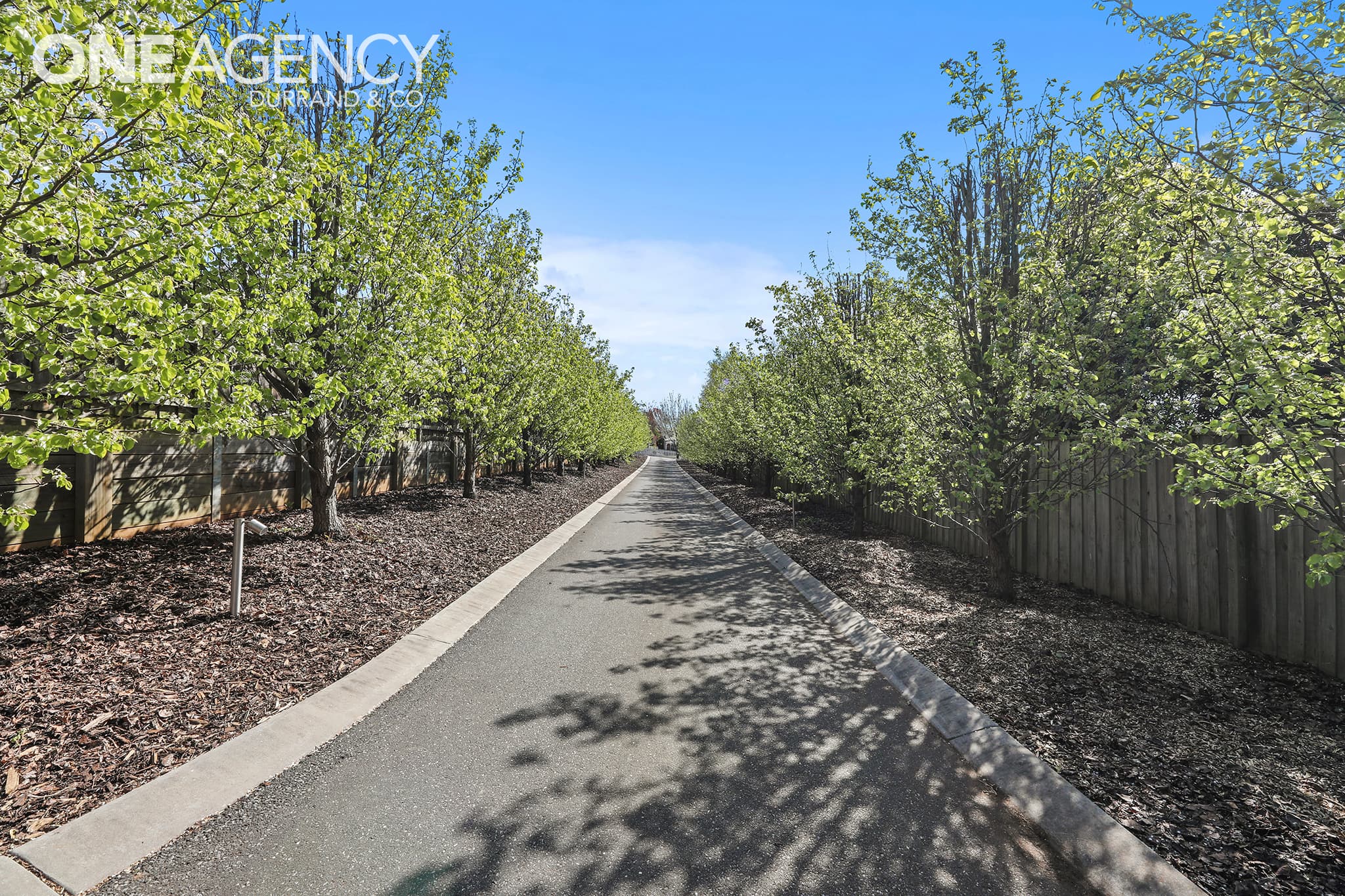 65 Grange Crescent, Warragul, Warragul - Thumbnail 8