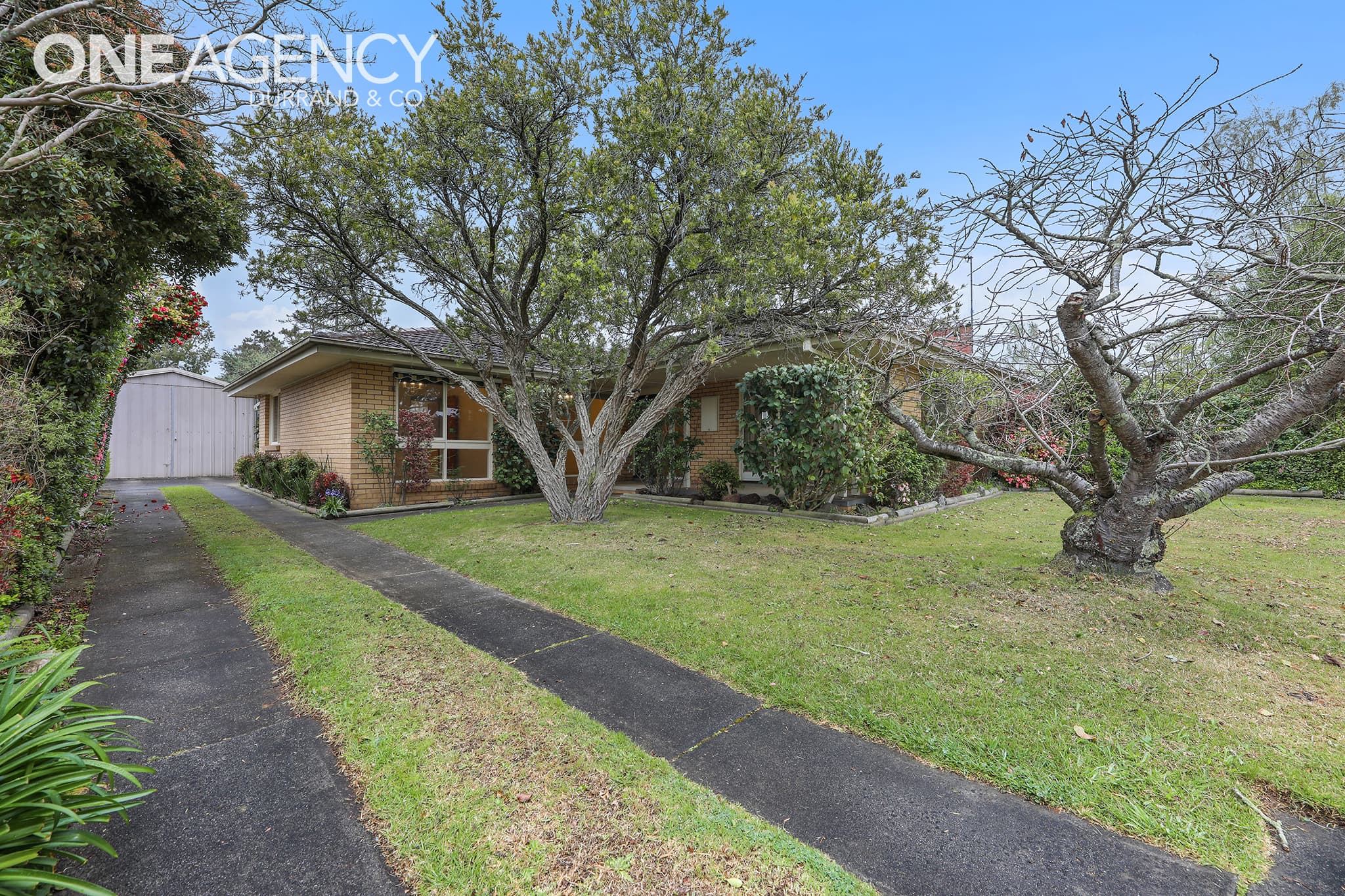 11 Banksia Street, Warragul, Warragul - Image 1