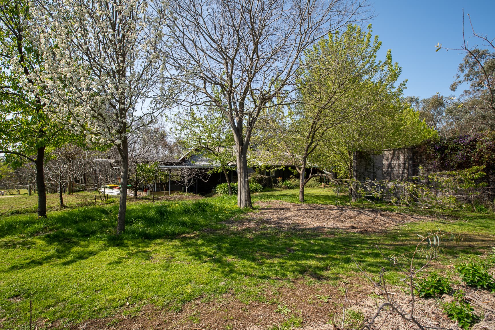 245 CASTLE CREEK Road, Wodonga, Wodonga - Thumbnail 2