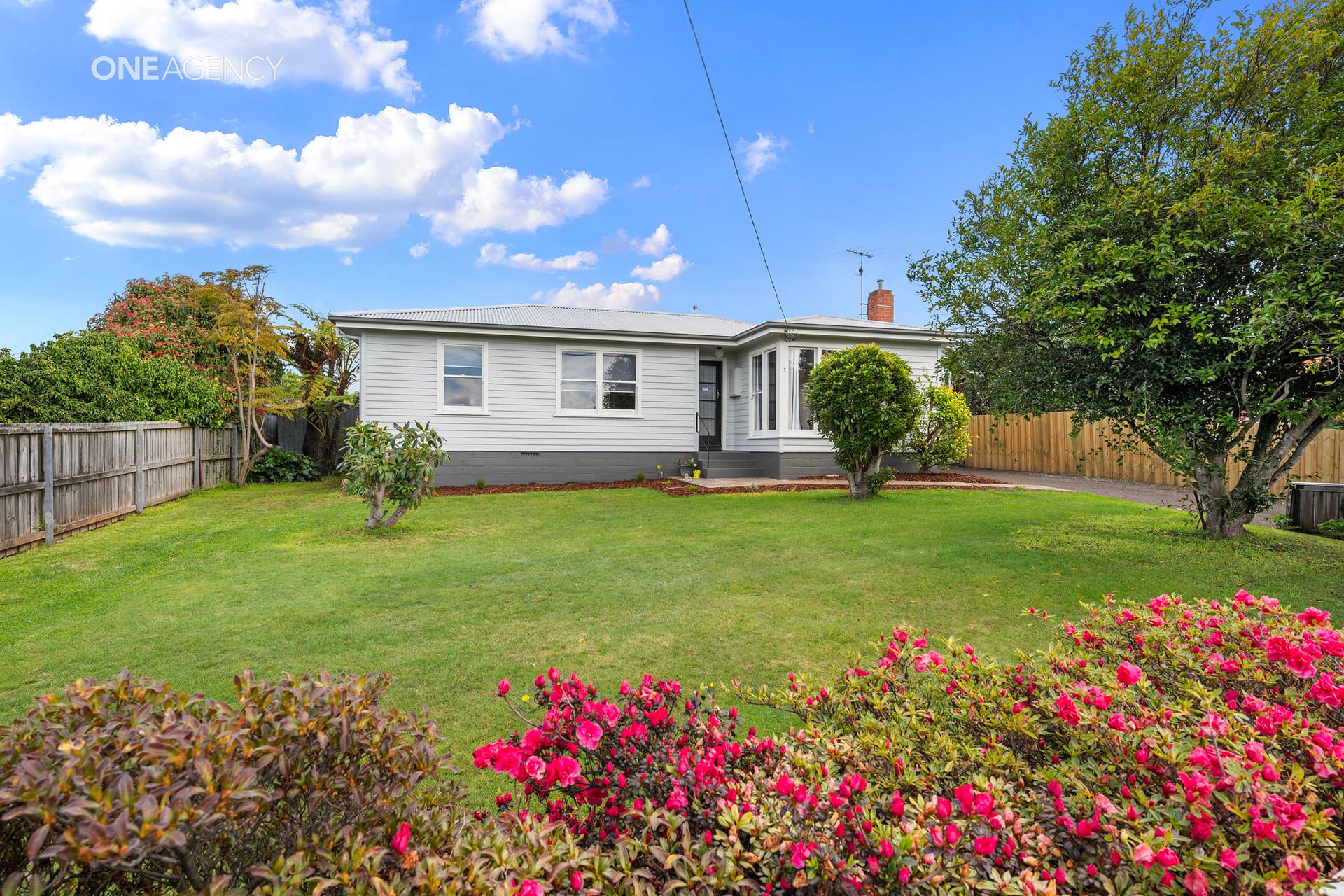 3 Raymond Avenue, Devonport, Devonport - Image 1