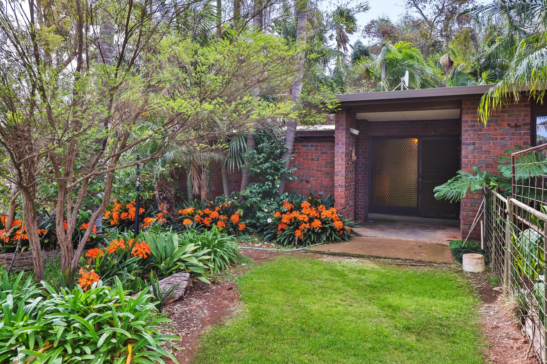 143 Belar Avenue, Irymple, Irymple - Thumbnail 3