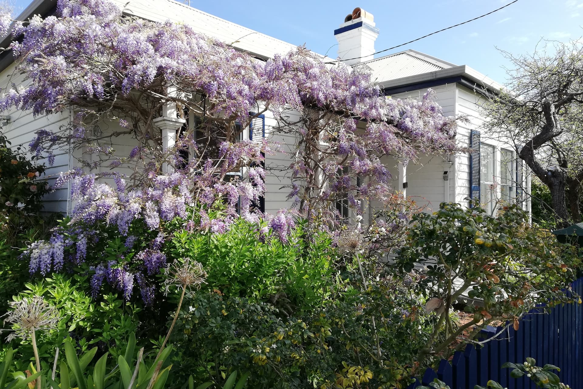 5 Nicholls Street, Devonport, Devonport - Image 1