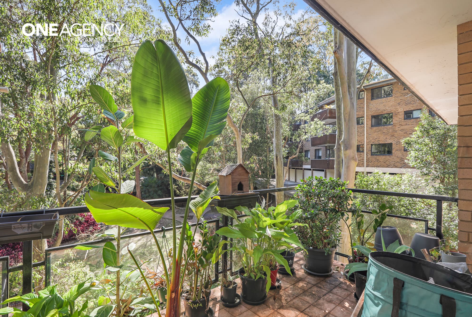 17/2 Peckham Avenue, Chatswood, Chatswood - Thumbnail 4