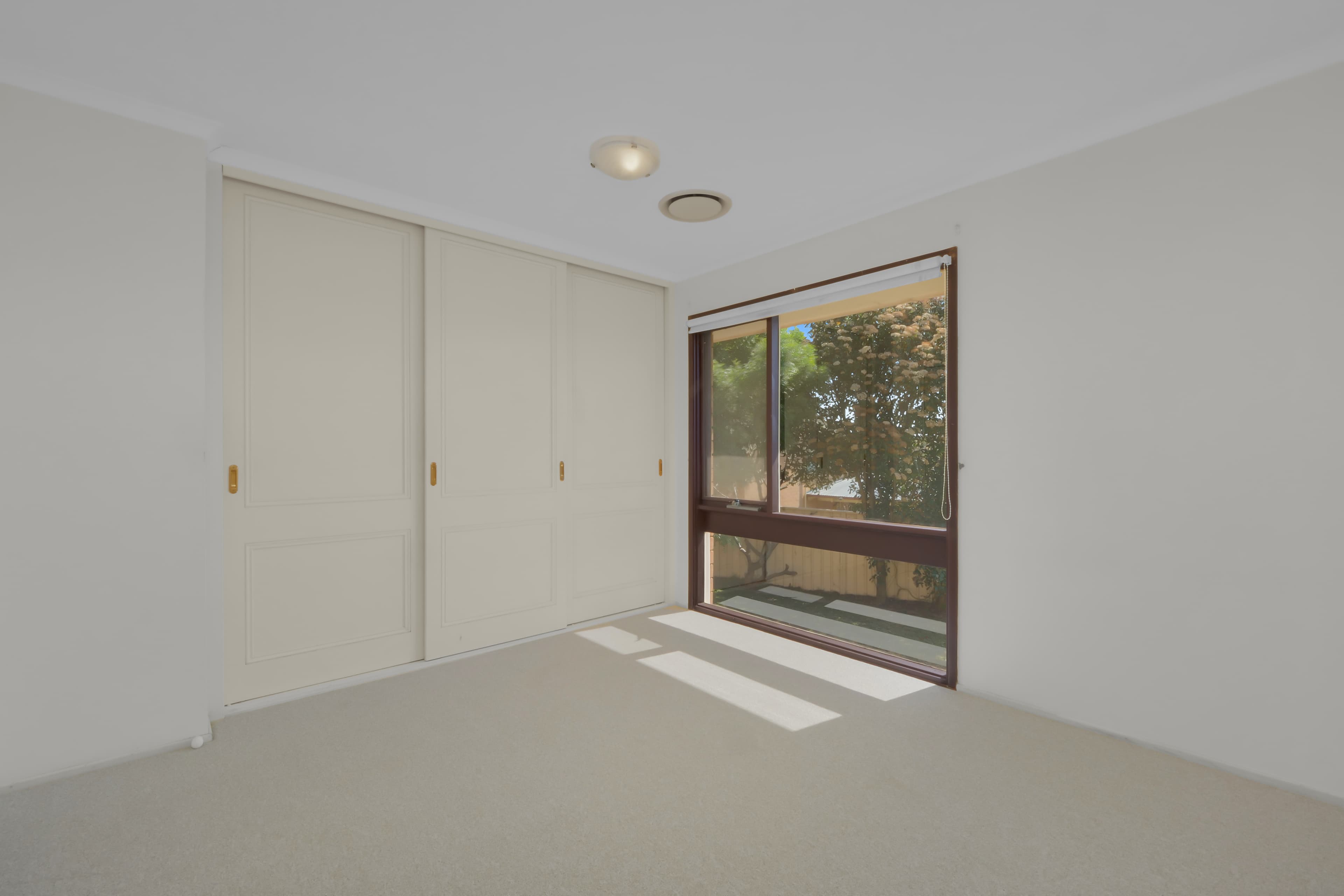 16 Omaru Crescent, Bradbury, Bradbury - Thumbnail 6