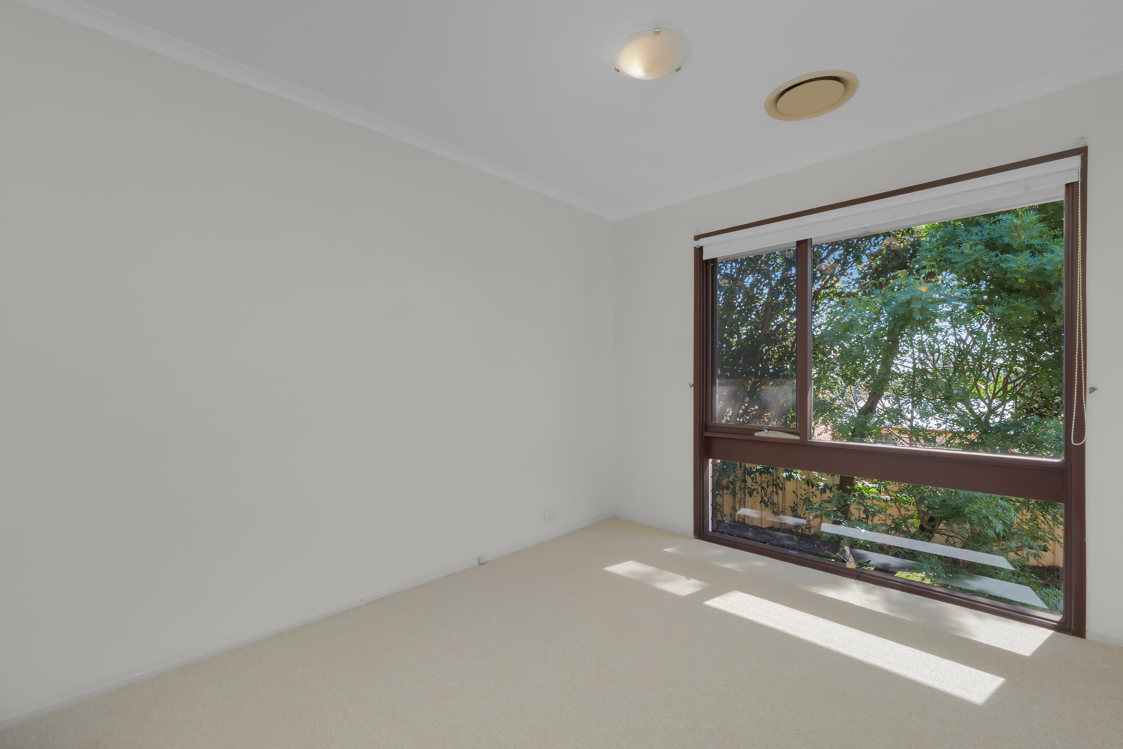 16 Omaru Crescent, Bradbury, Bradbury - Thumbnail 8