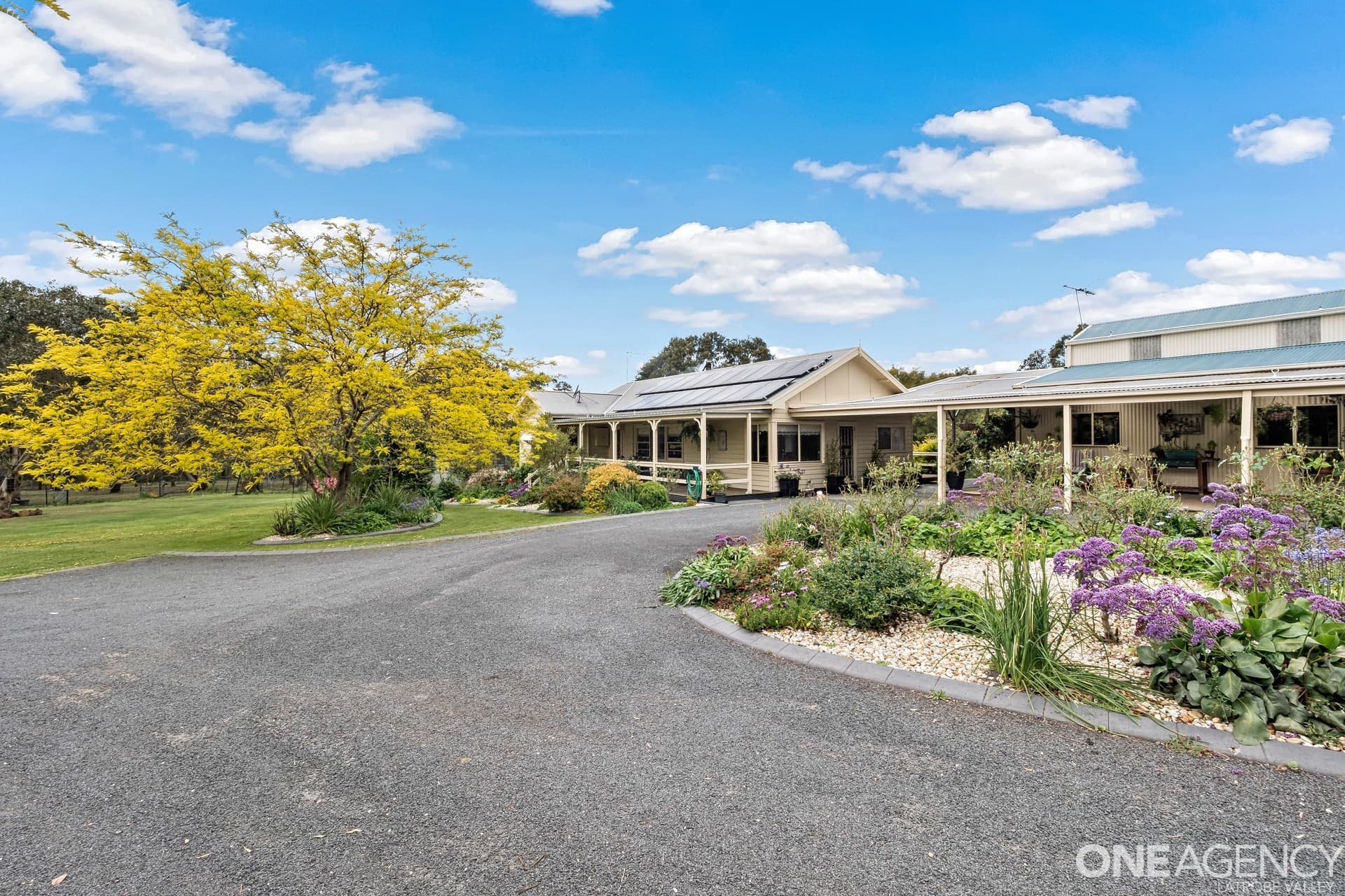 12 Lang Place, Toongabbie, Toongabbie - Thumbnail 2