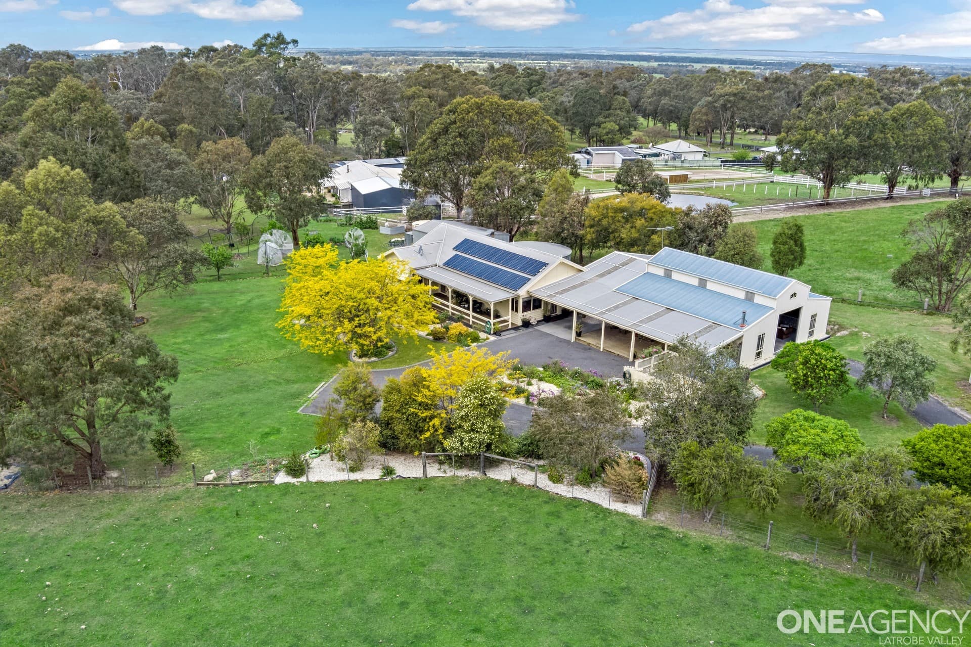 12 Lang Place, Toongabbie, Toongabbie - Image 1