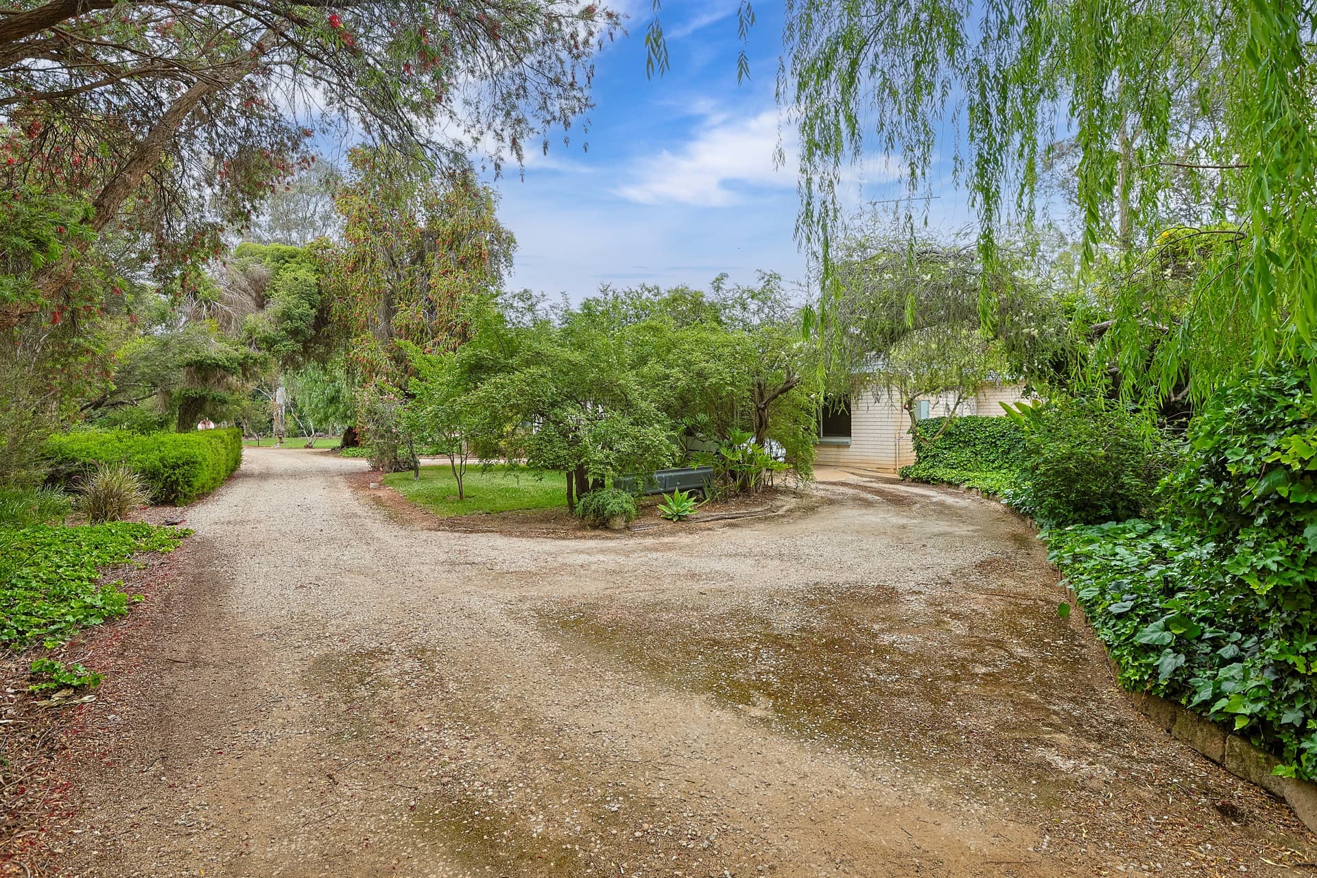 52 Damour Road, Robinvale, Robinvale - Thumbnail 3