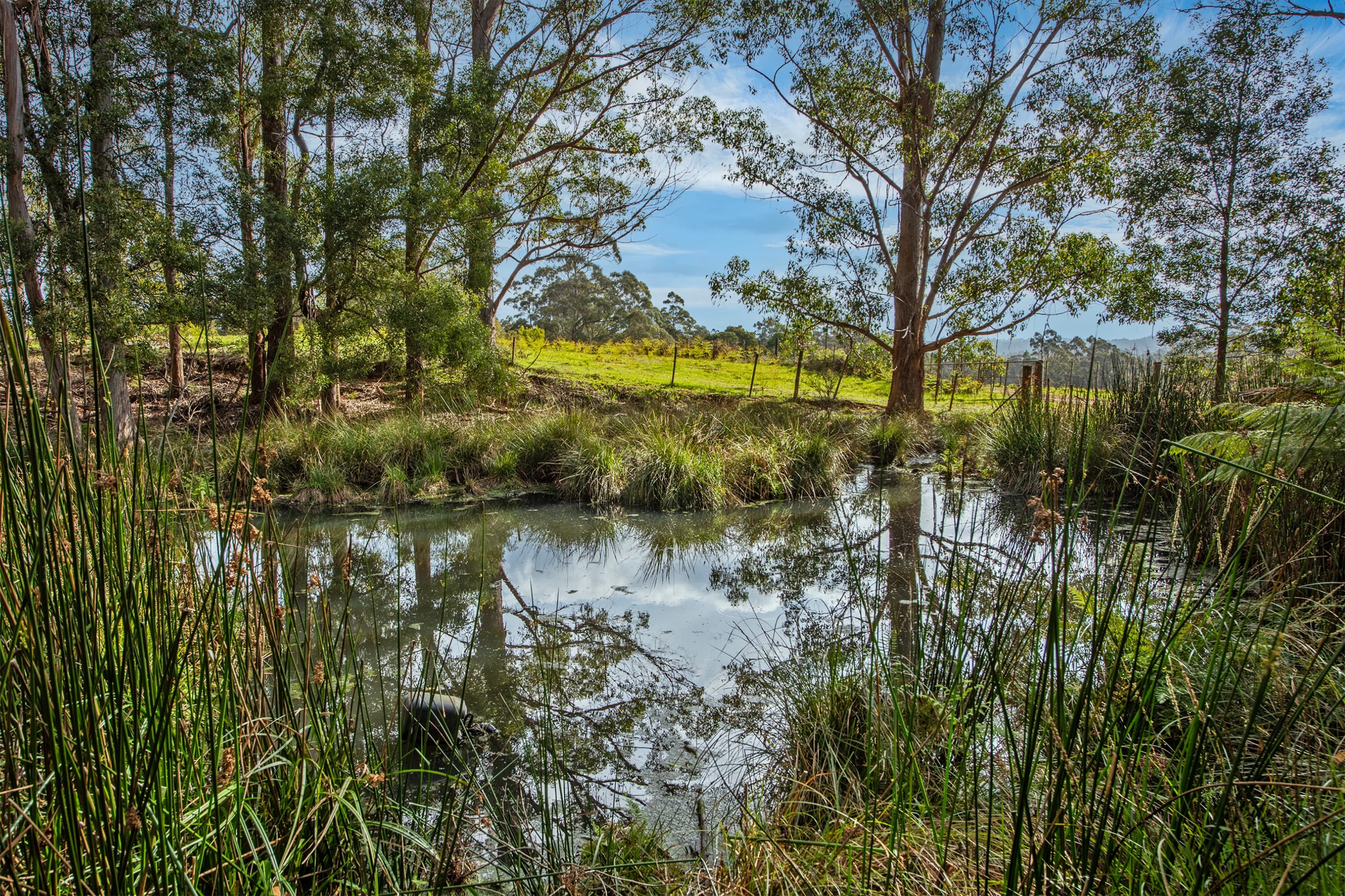 960 Calder Road, Calder, Calder - Thumbnail 5