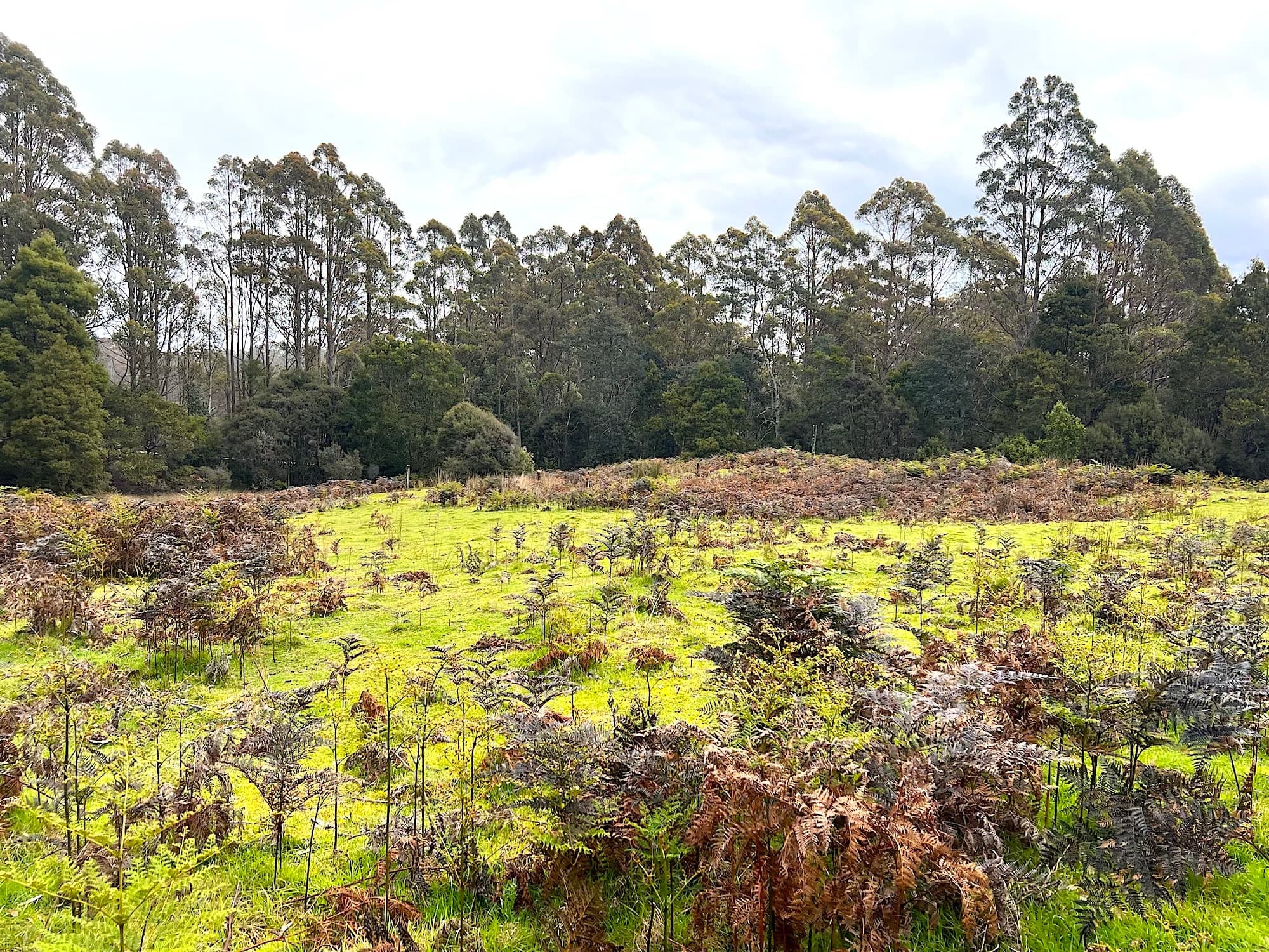 960 Calder Road, Calder, Calder - Thumbnail 7