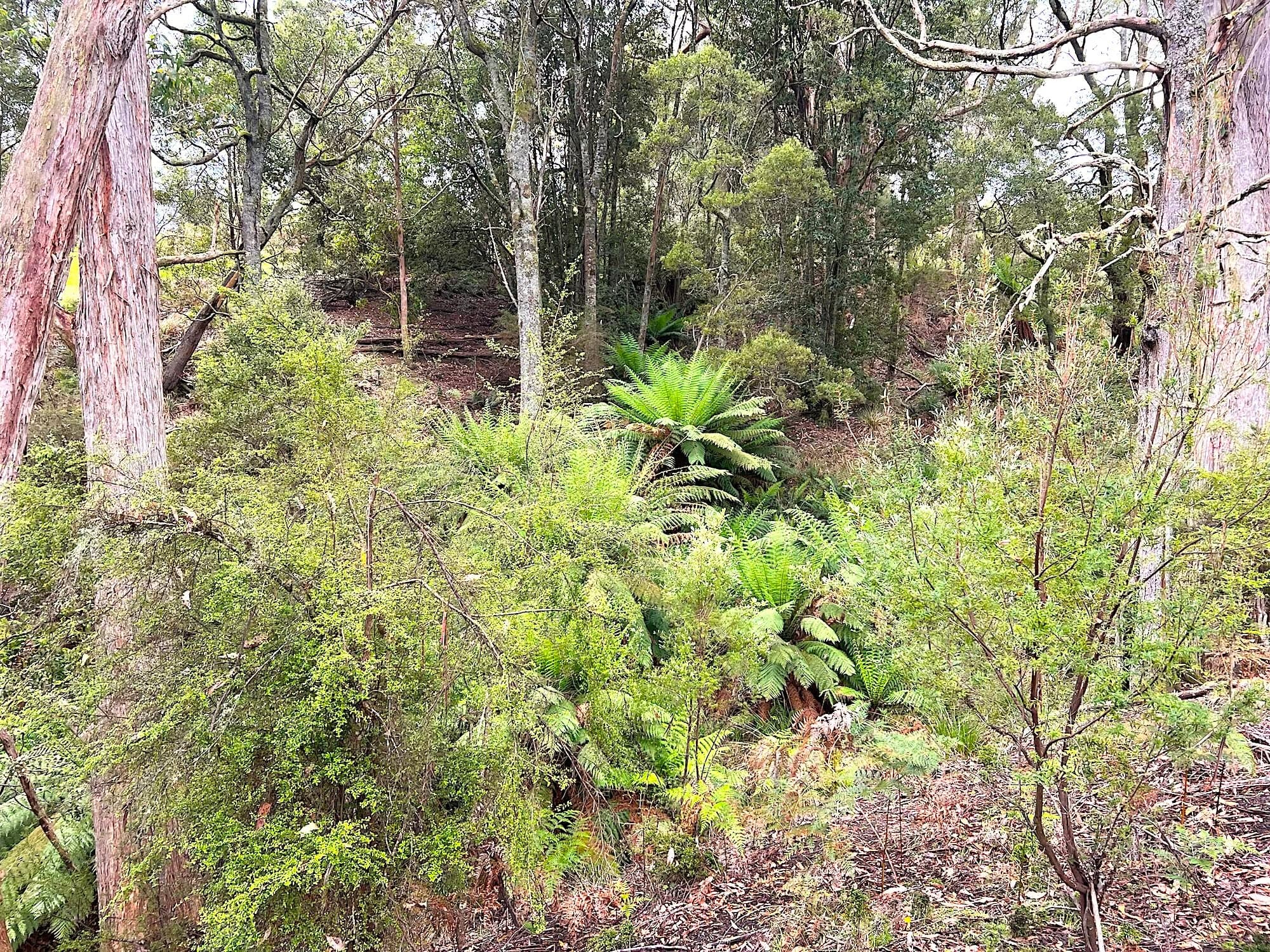 960 Calder Road, Calder, Calder - Thumbnail 8