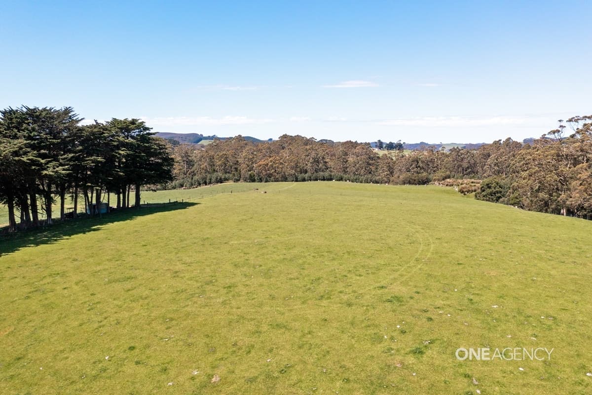 1383 Trowutta Road, Edith Creek, Edith Creek - Thumbnail 5