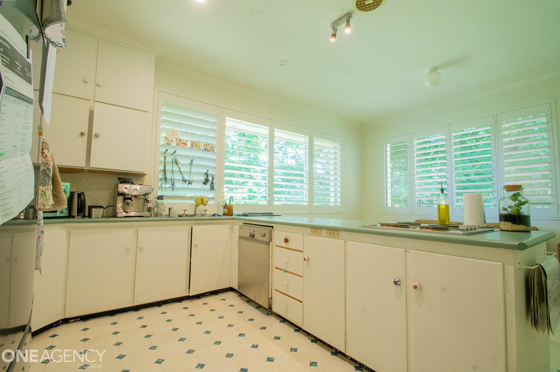 759 Pinnacle Road, Orange, Orange - Thumbnail 5