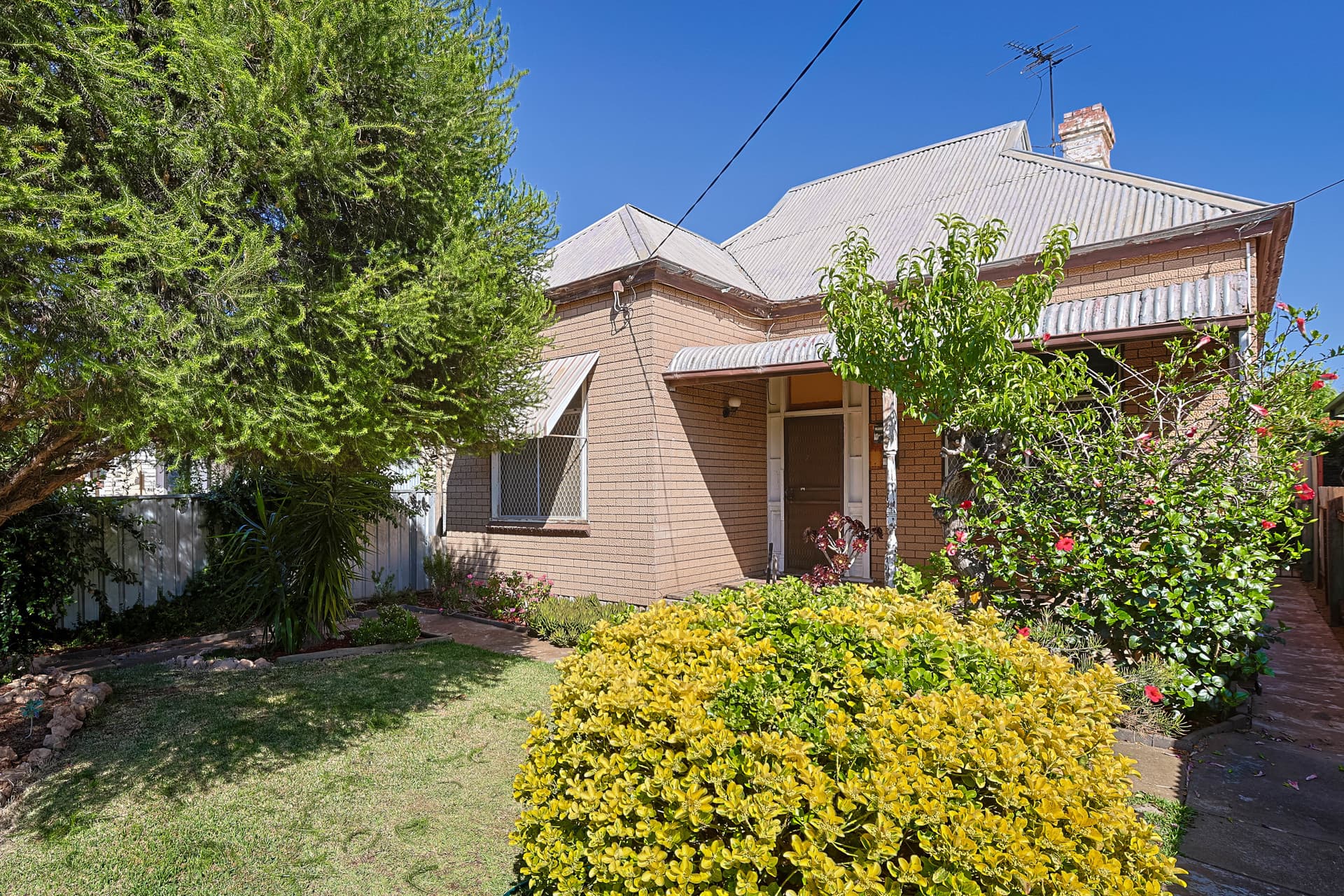 101 Magnolia Avenue, Mildura, Mildura - Thumbnail 3